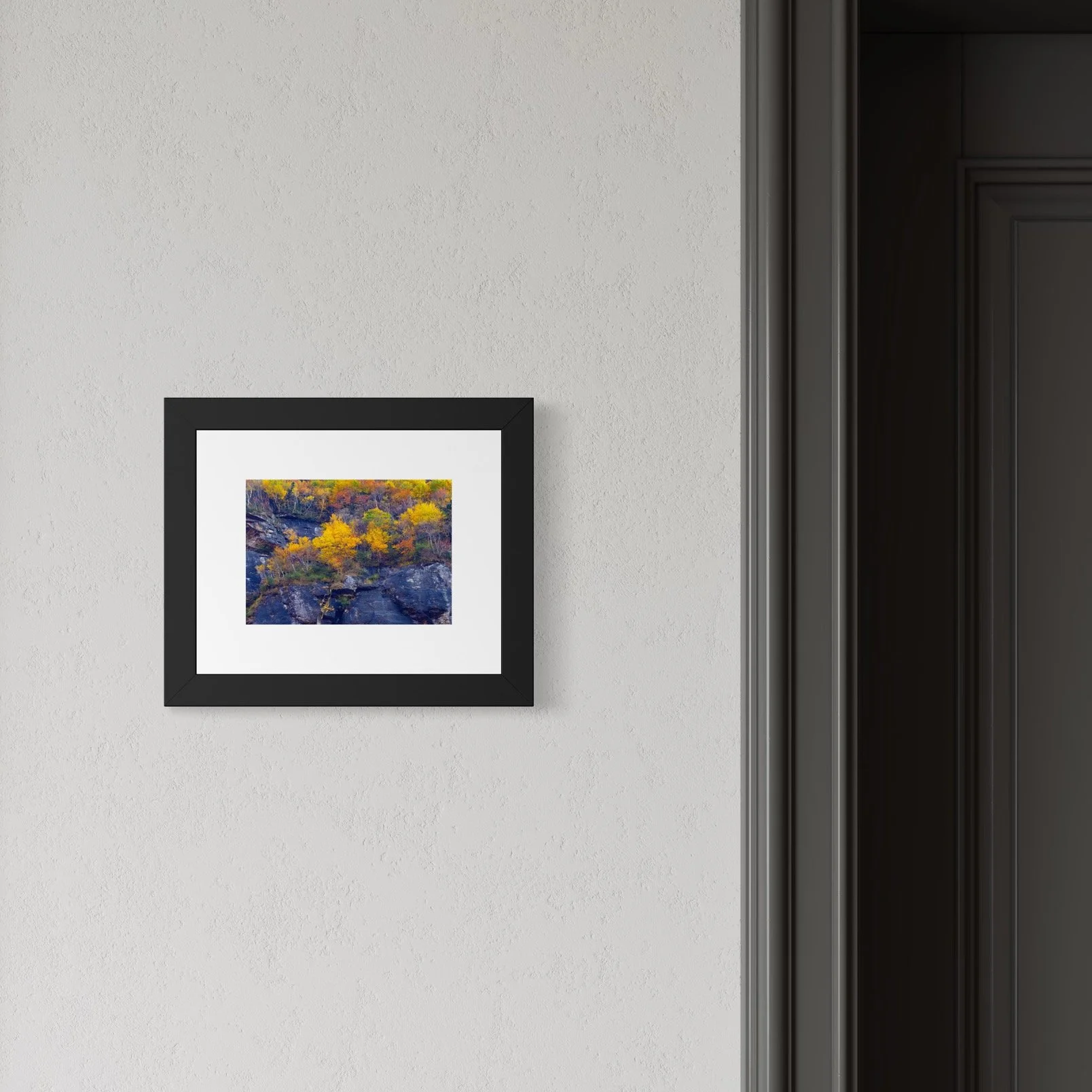 IMGG3067 8x10 1.625 FRAME.JPG