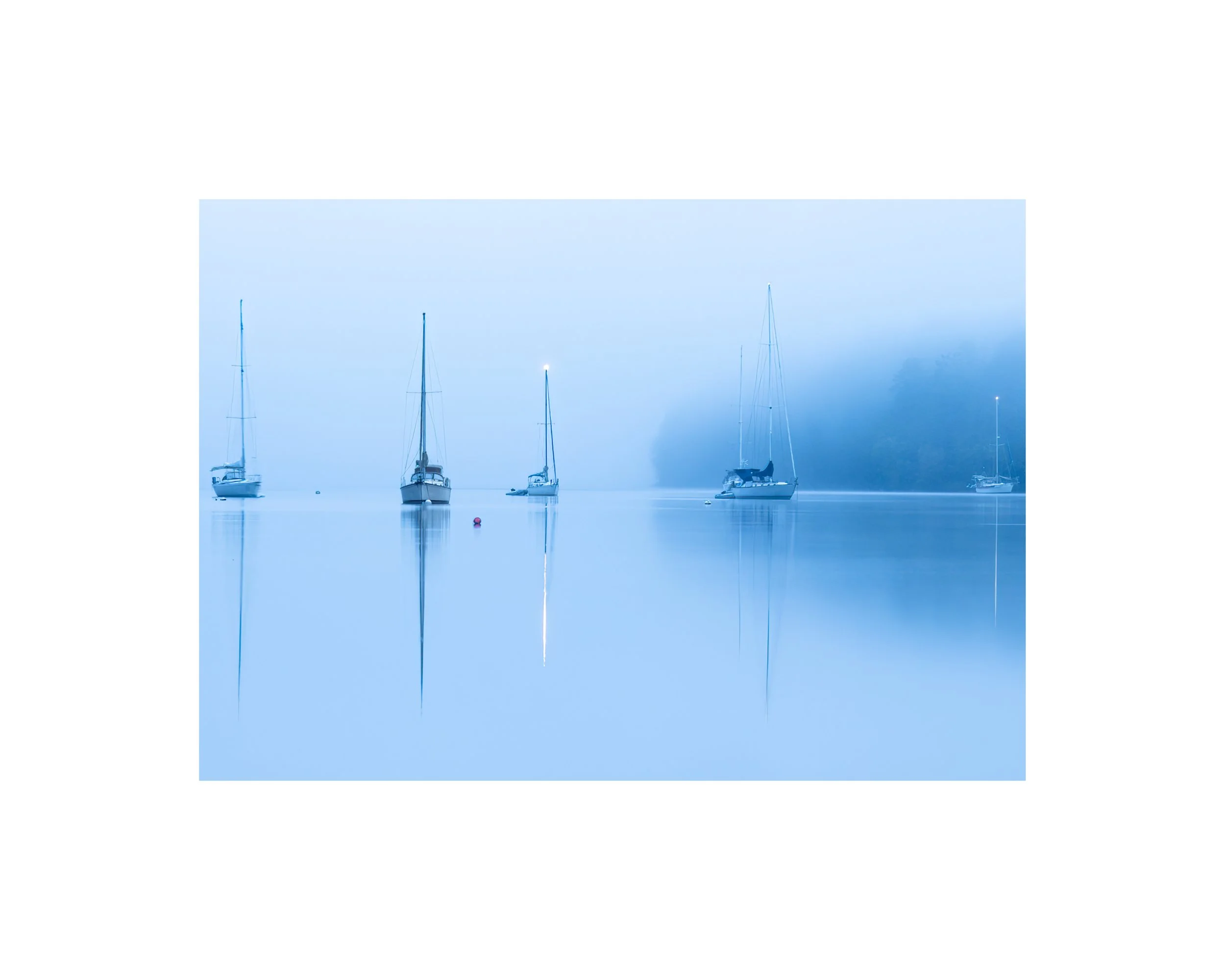 IMGA8025 8x10 1.625 CAT.jpg