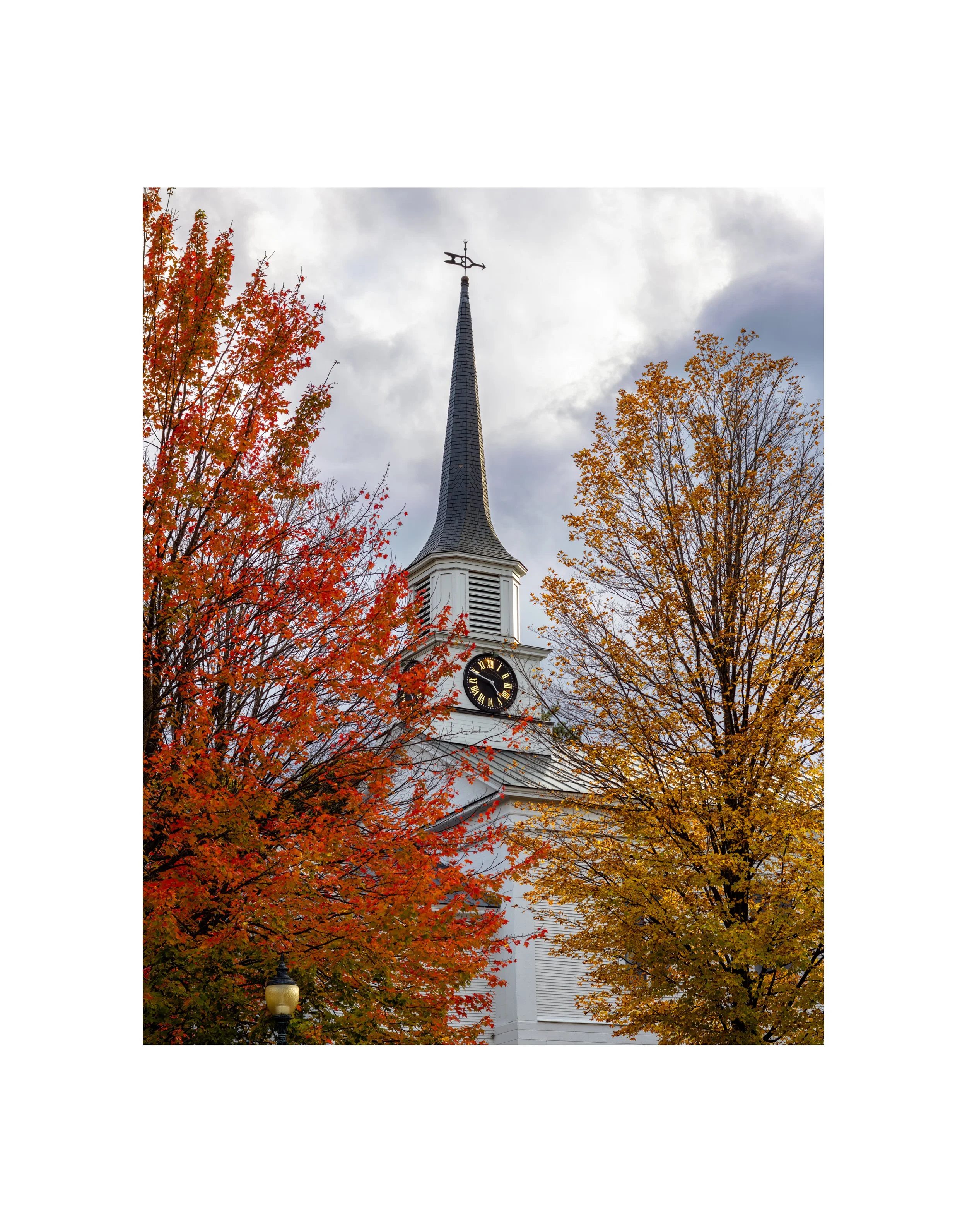 IMGA1587 14X11 2.125 1.625 CAT.jpg