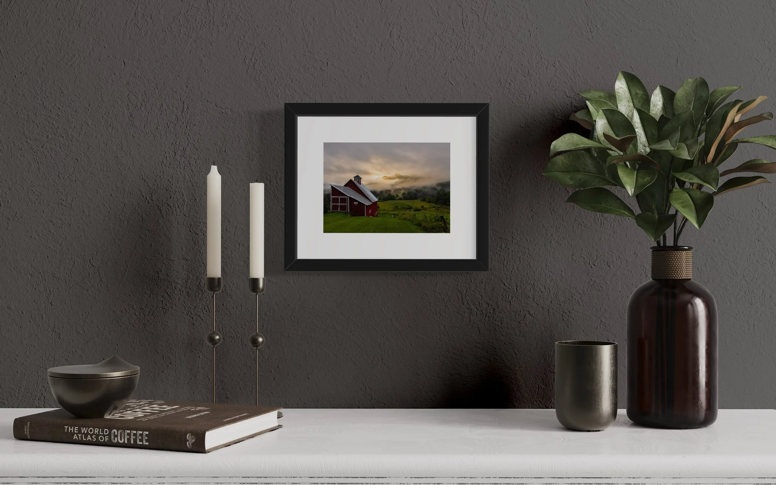 IMGC2748 8x10 1.625 FRAME.JPG