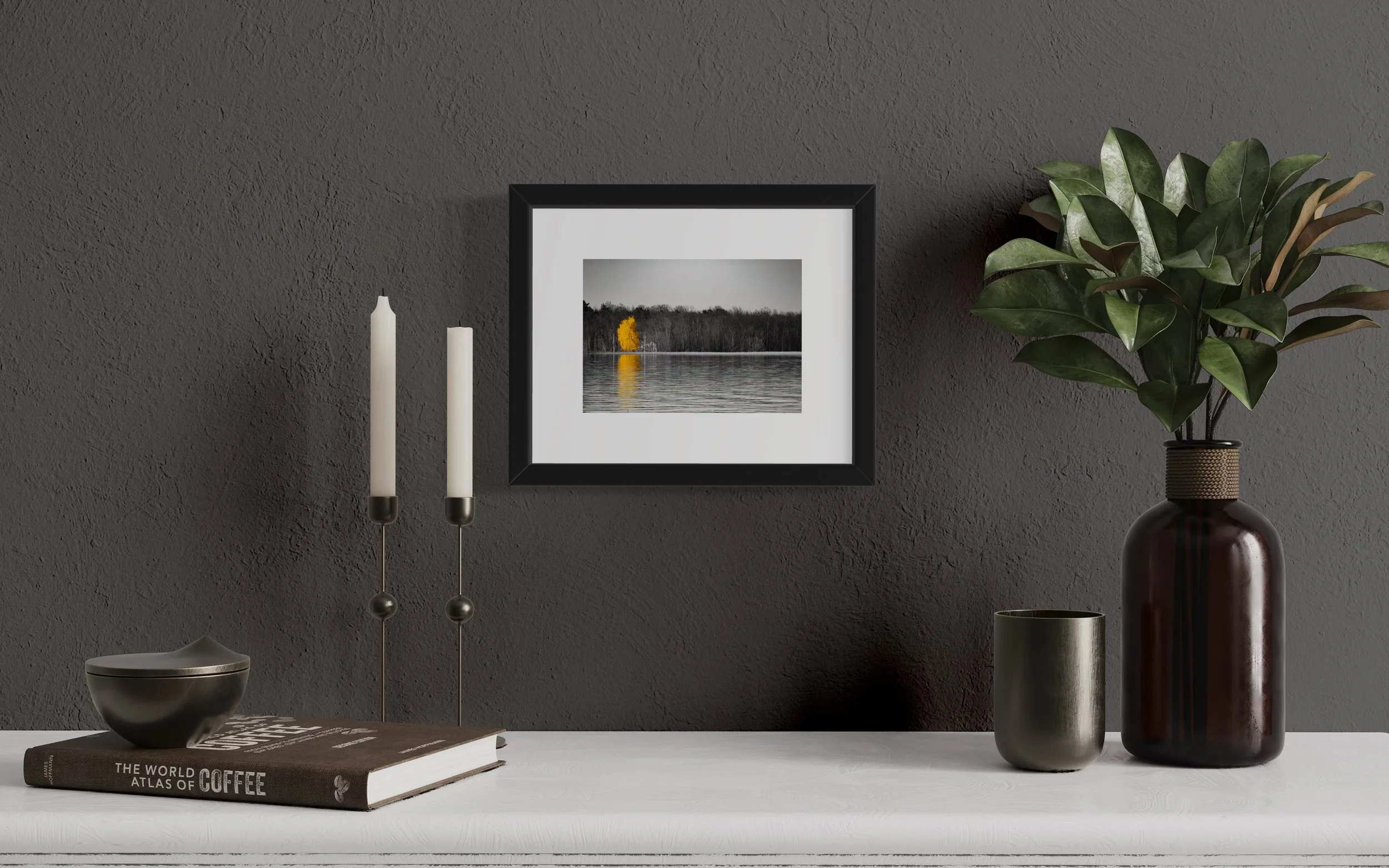 IMG_4426 8x10 1.625 FRAME.JPG