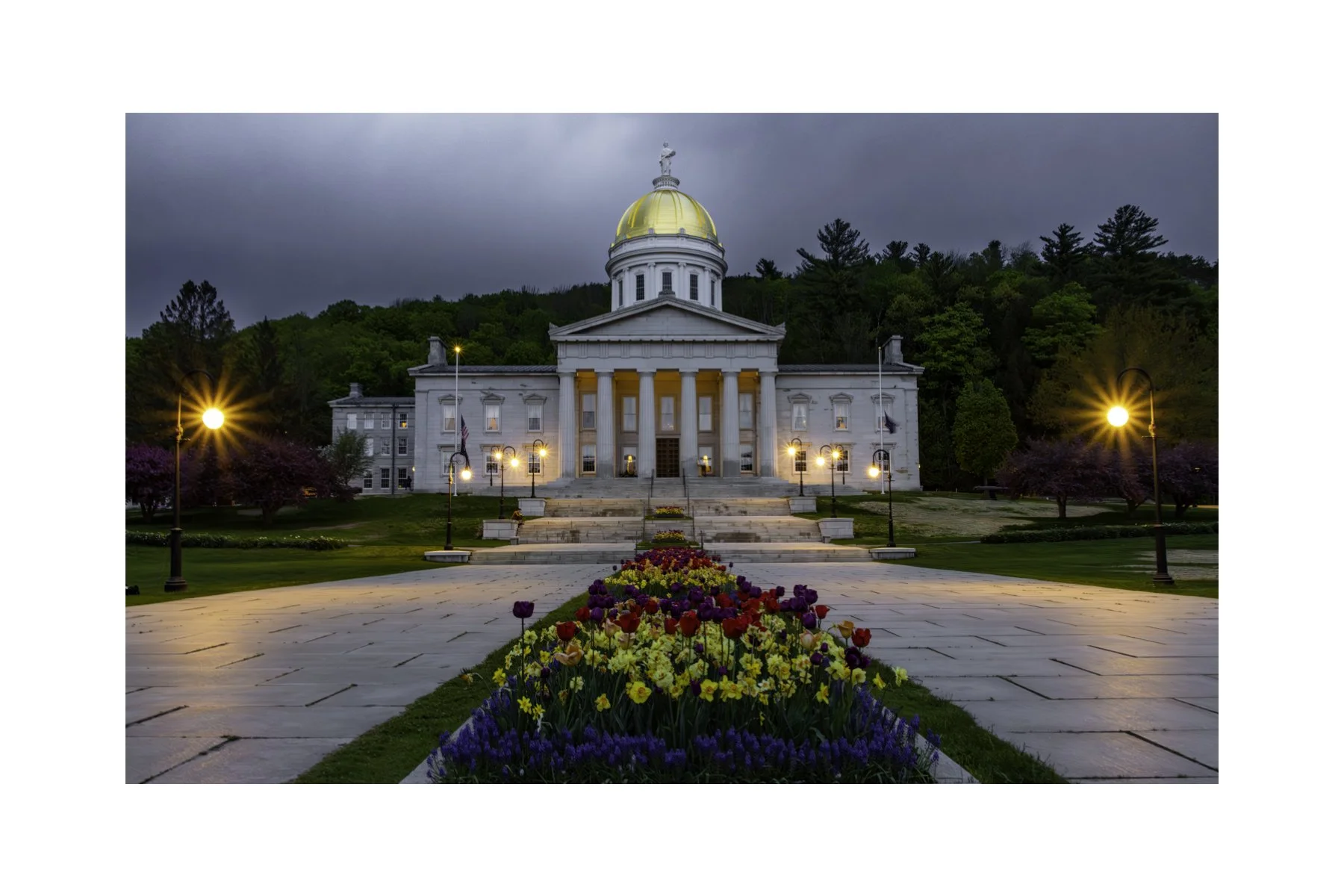 IMGA9706 4X6 0.5 0.56 CAT.jpg