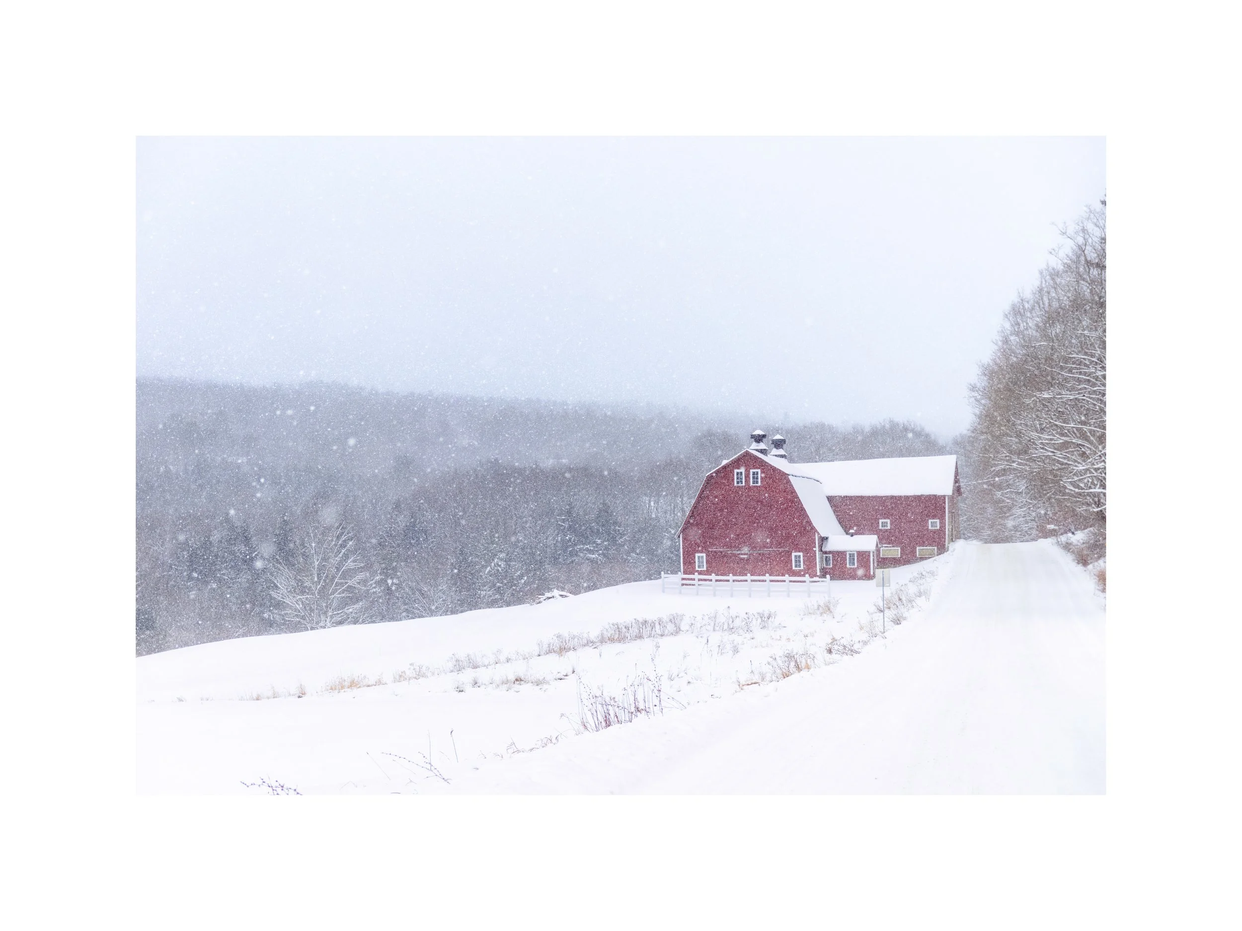 IMGG6798 18X24 2.625 CAT-L.jpg