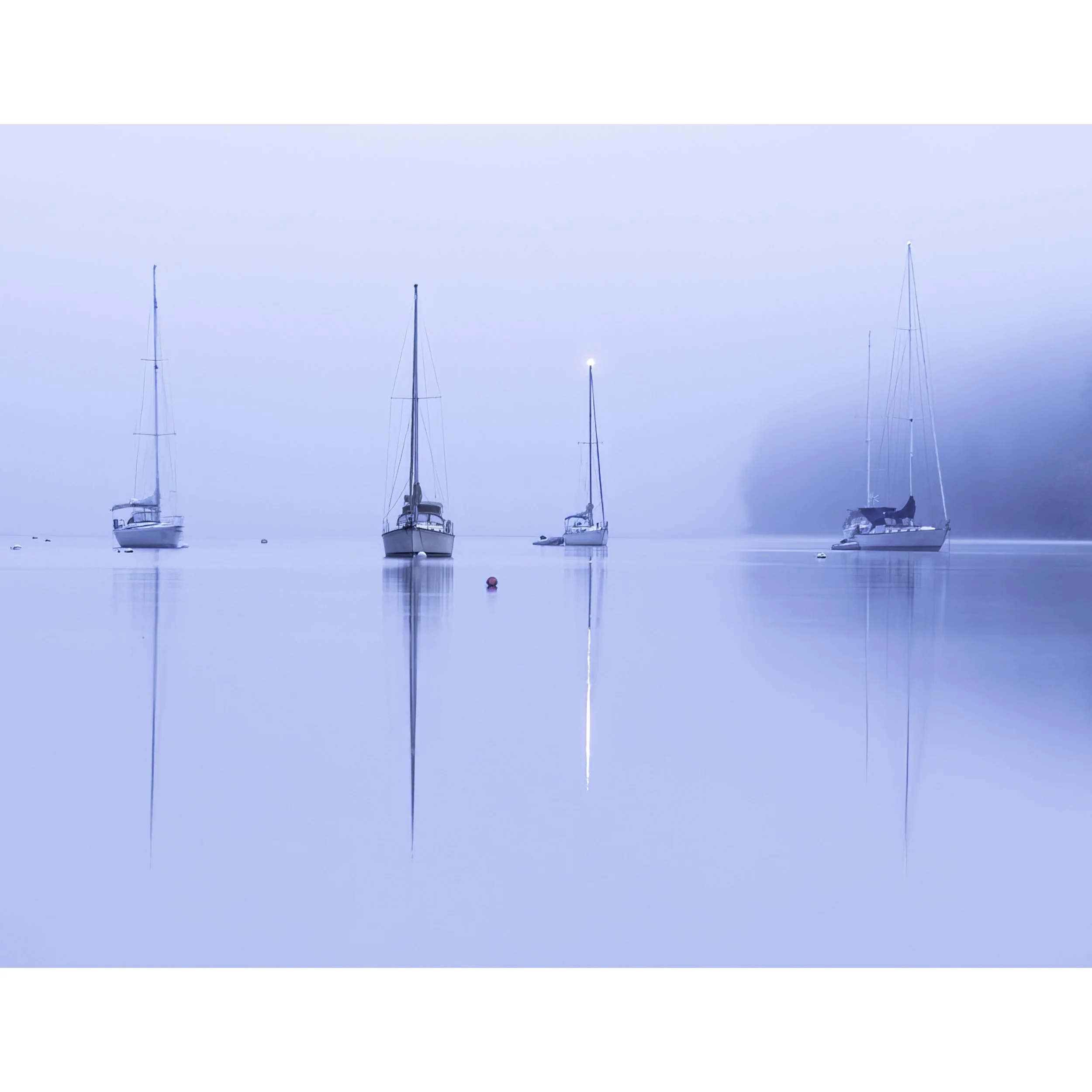 IMGA8025 POSTCARD 8.5x11 ICON.jpg