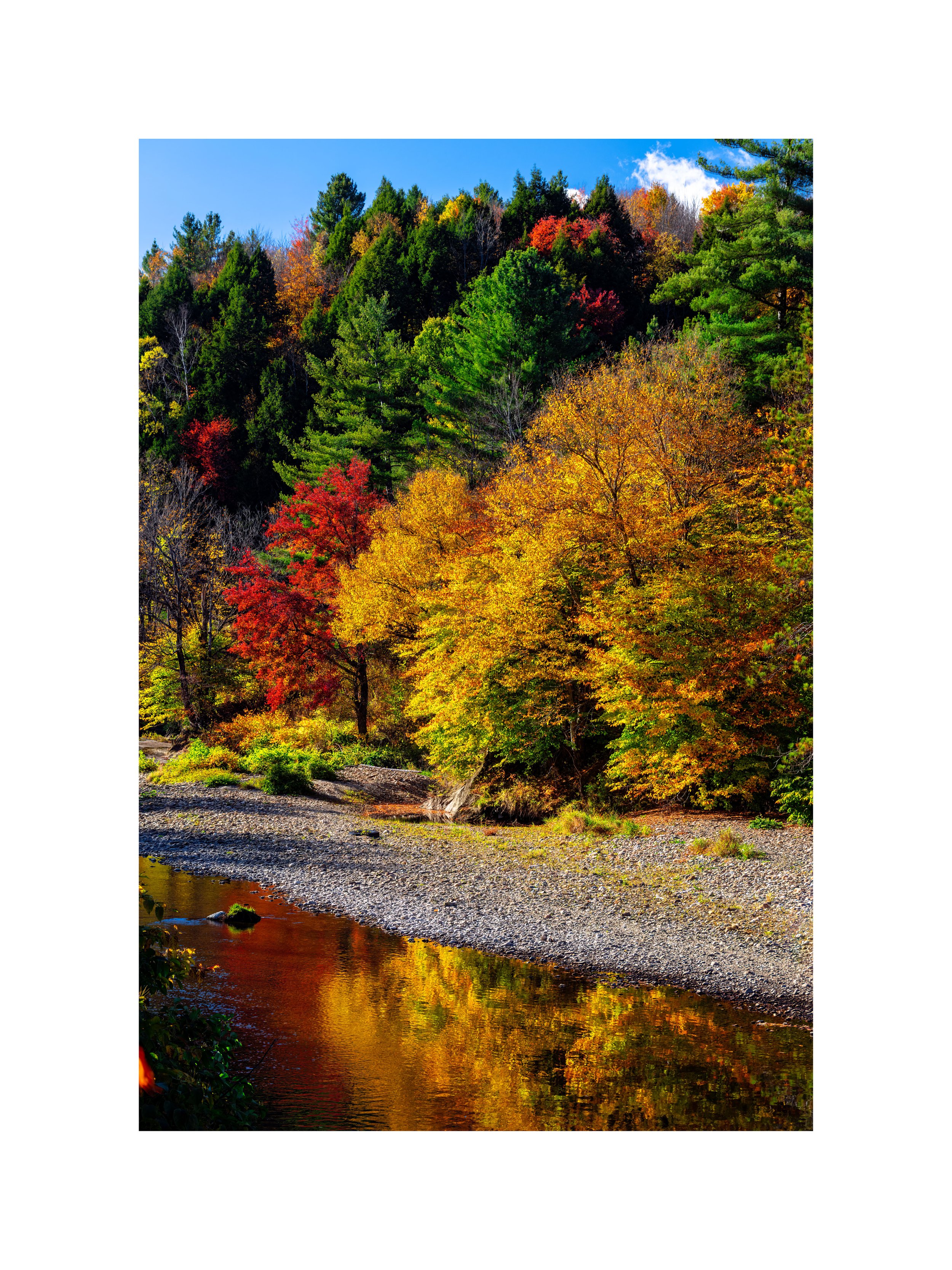 IMGC9966 24X18 2.625 CAT-L.jpg