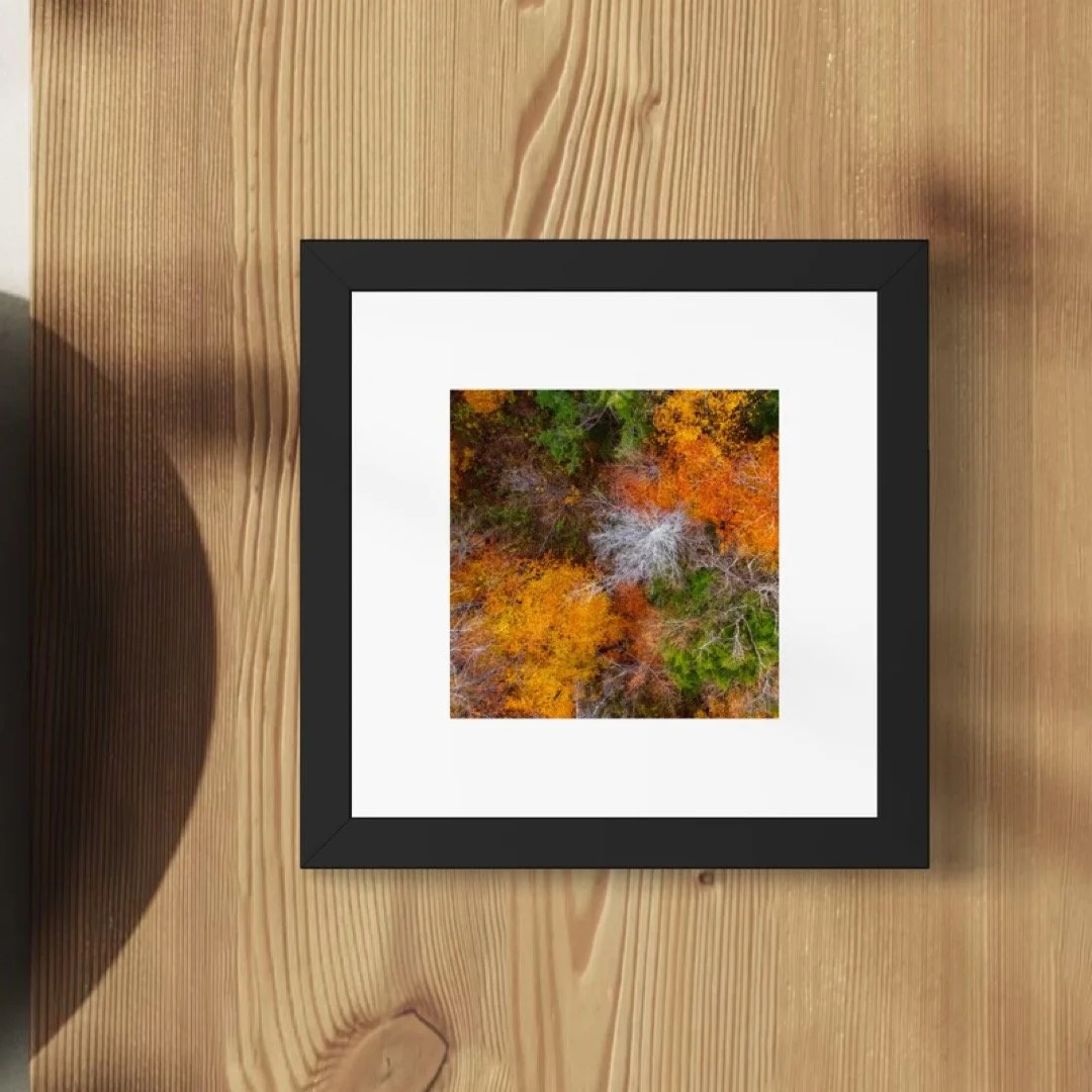 DJI241021_12 A 6x6 1.125 FRAME.JPG