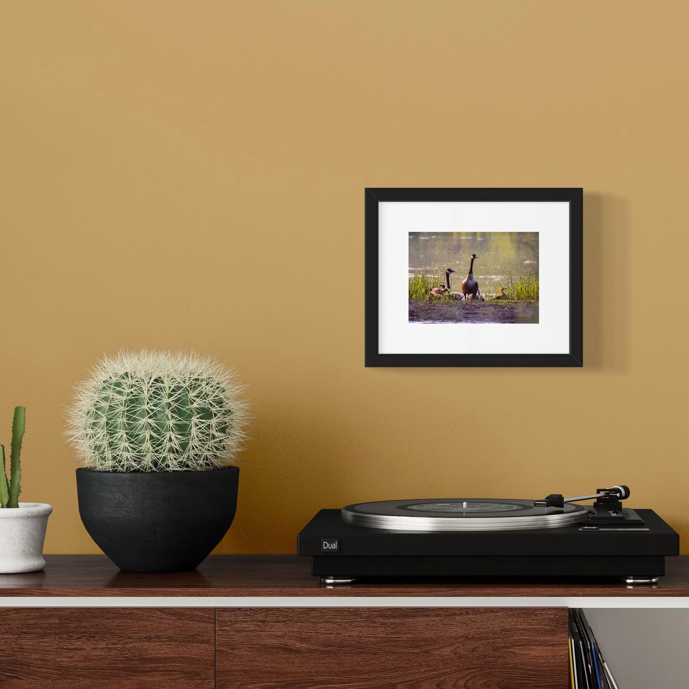 IMGF3641 8x10 1.625 FRAME.JPG