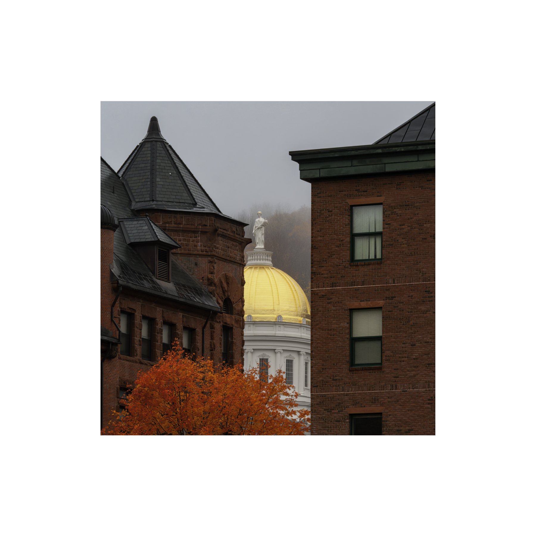 IMG_9637 6x6 1.125 CAT.jpg