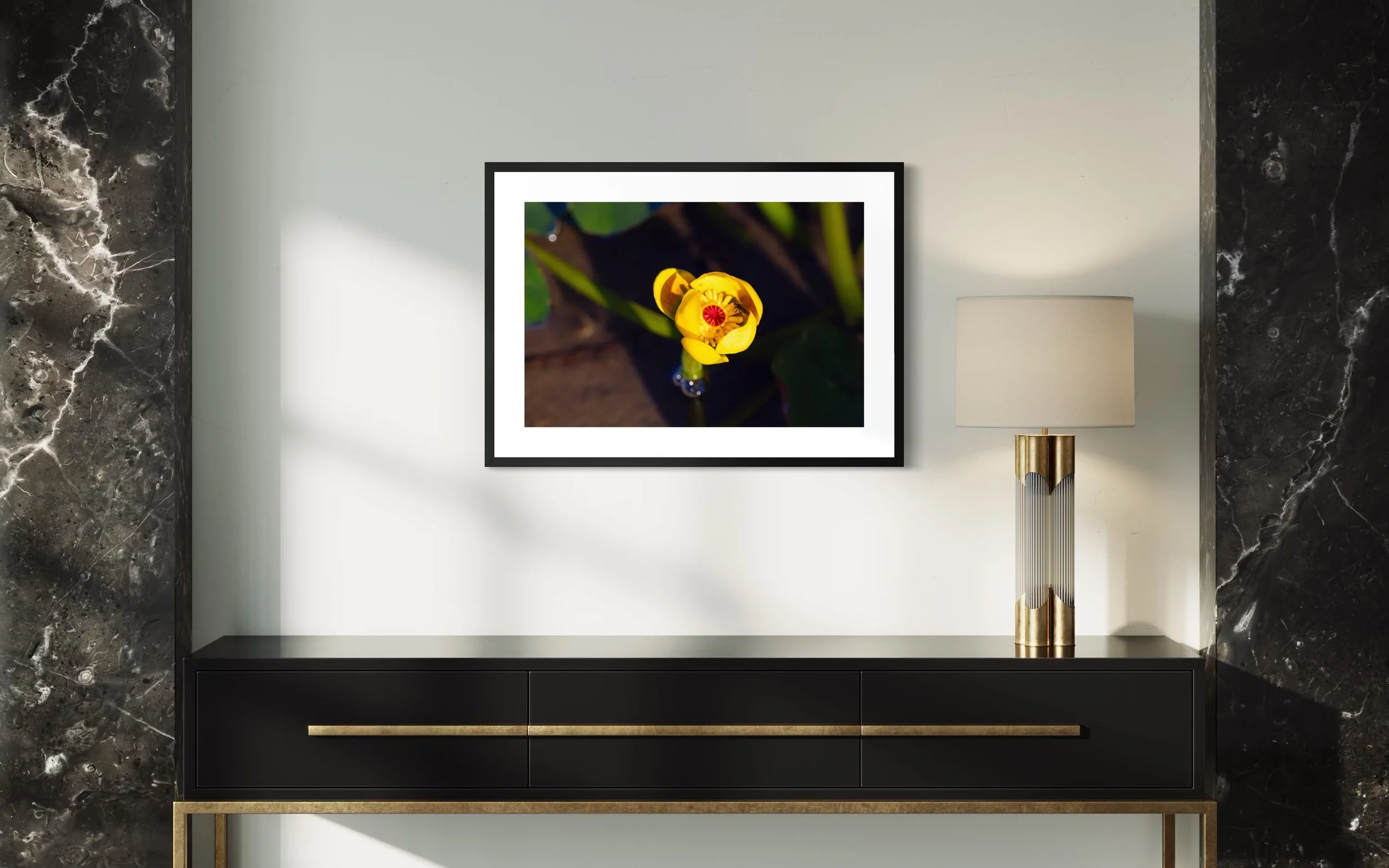 IMGF9947 20x28 2.125 FRAME.JPG