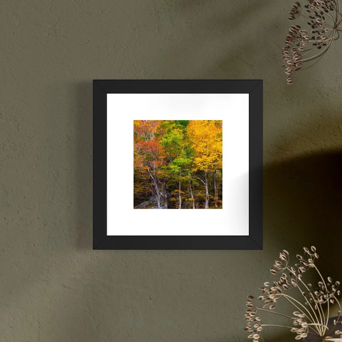 IMGG3042 6x6 1.125 FRAME.JPG (Copy)