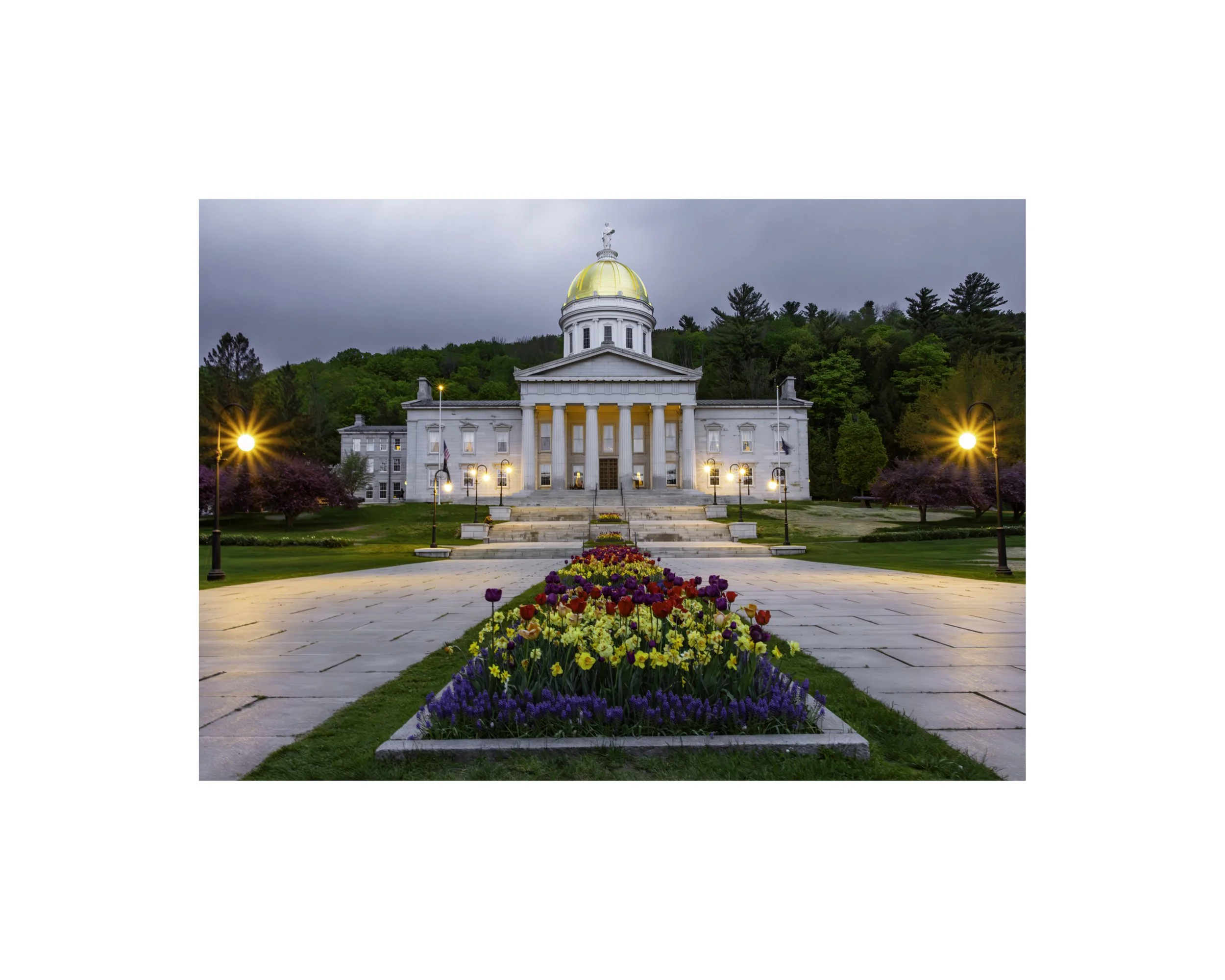 IMGA9706 8x10 1.625 CAT.jpg