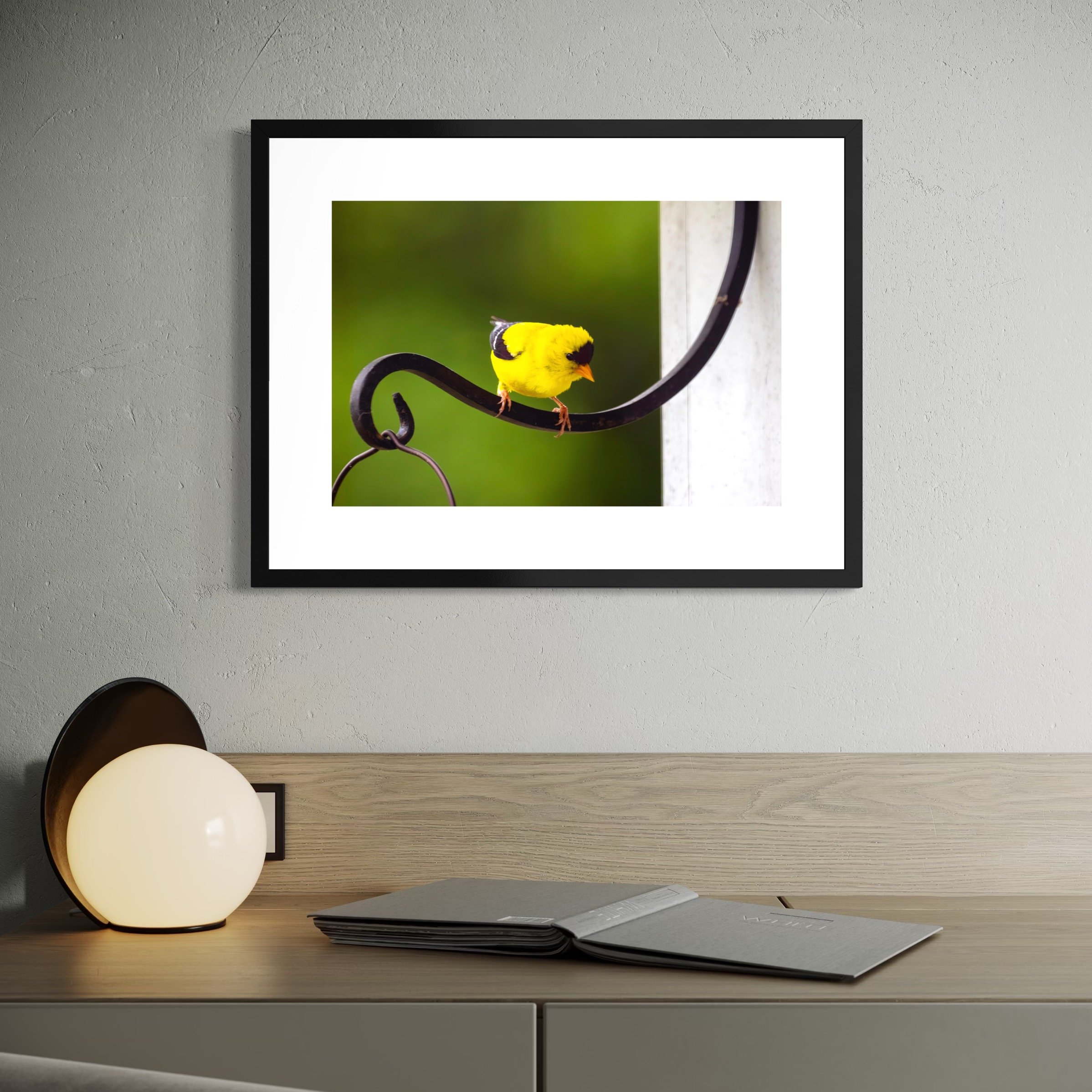 IMGF5524 18x24 2.625 FRAME.JPG