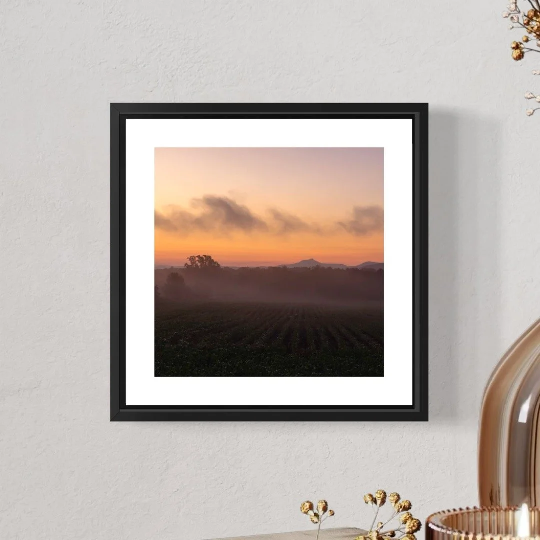 IMGB2831 B 5x5 0.5 FRAME.JPG