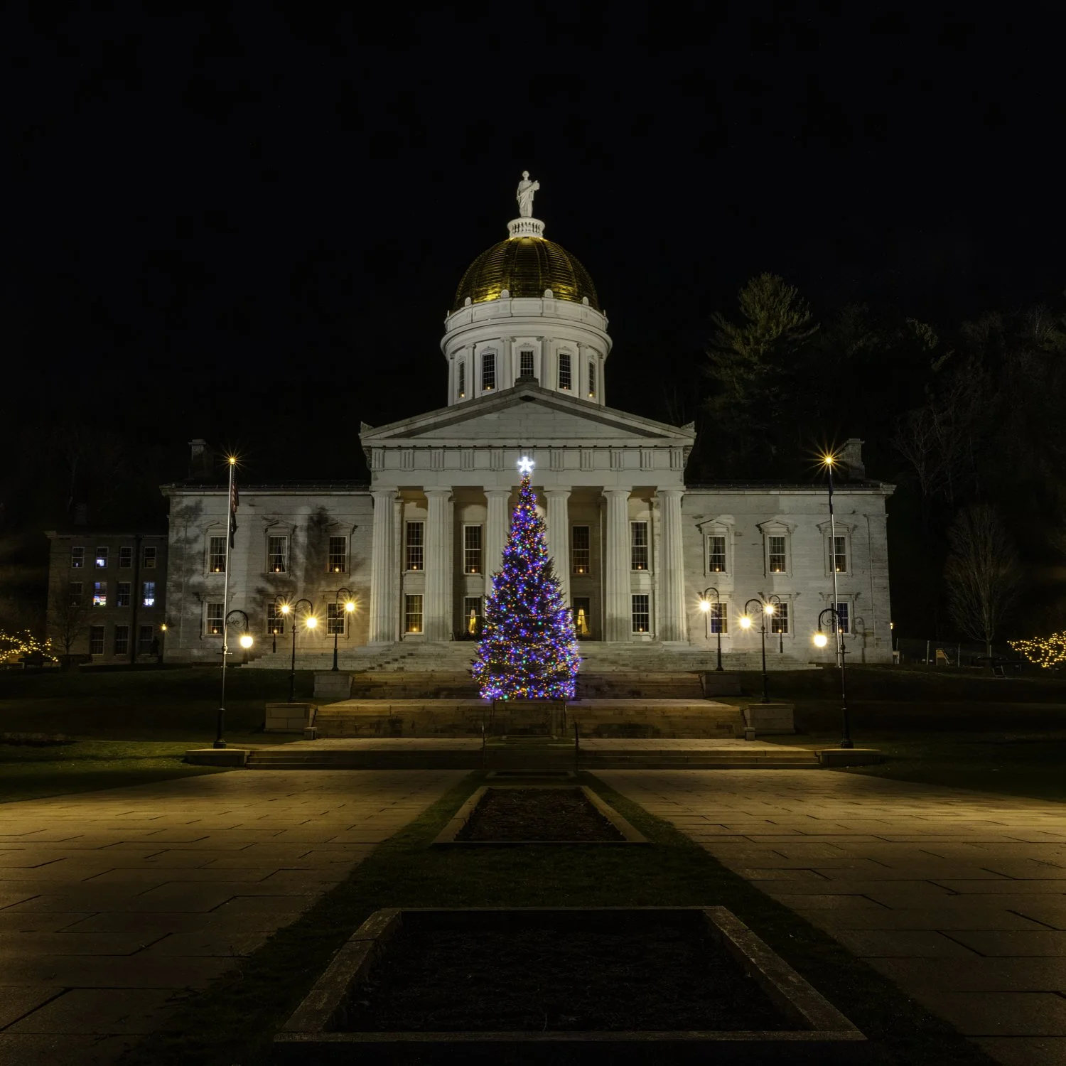 IMGA2532 5x5 MUG CAT.jpg