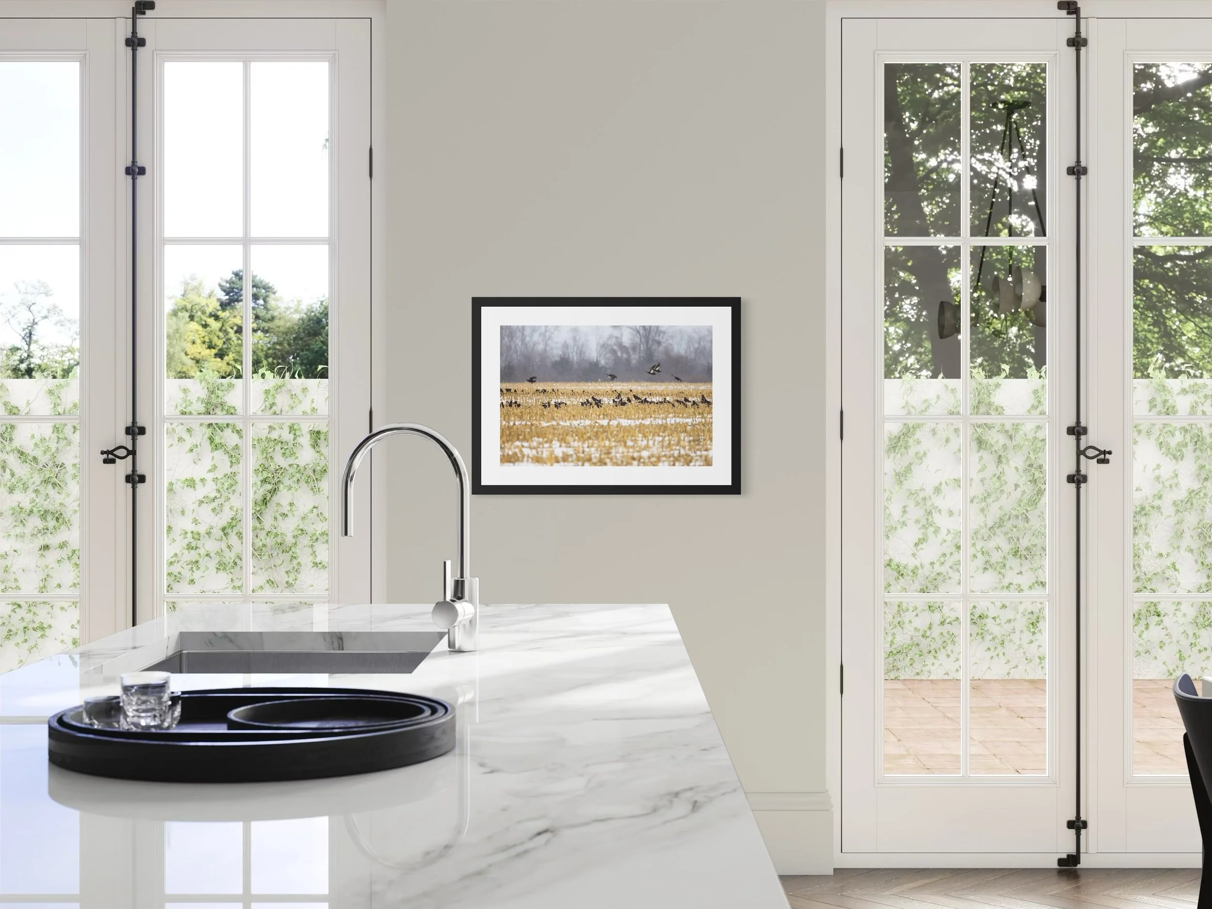 IMGE9166 28x20 2.125 FRAME.JPG