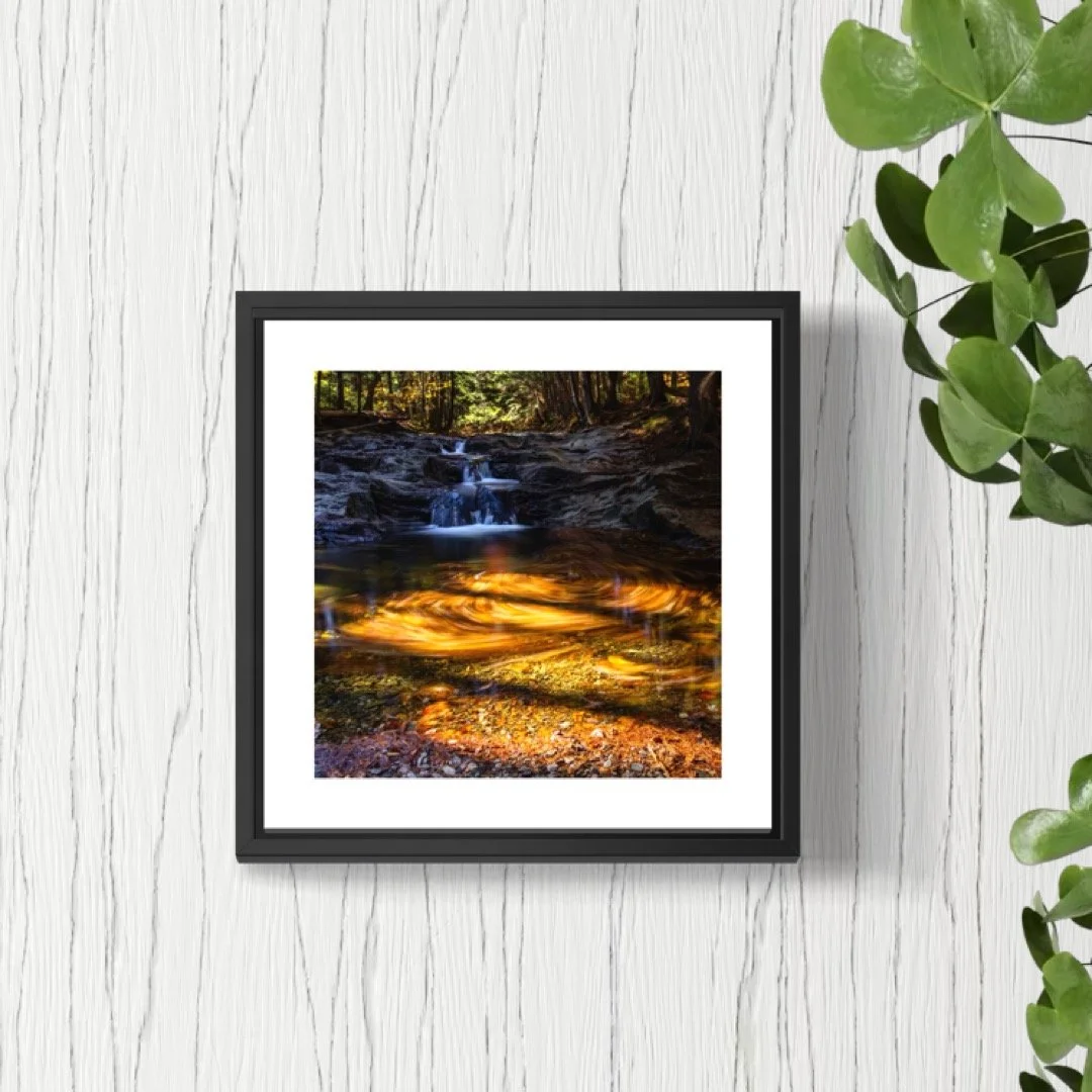 IMGC9901 5x5 0.5 FRAME.JPG