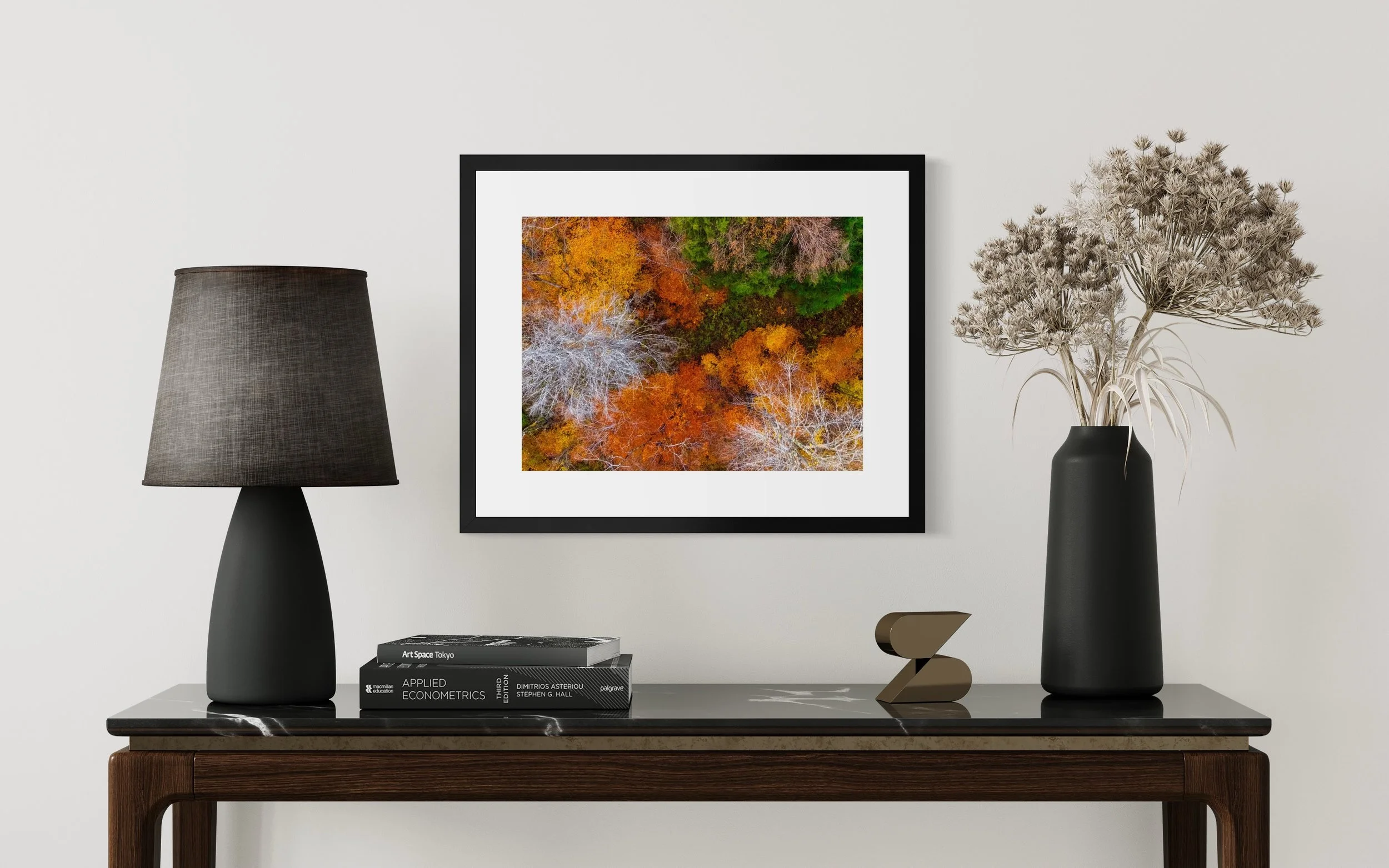 DJI241021_10 16x20 2.125 FRAME.JPG