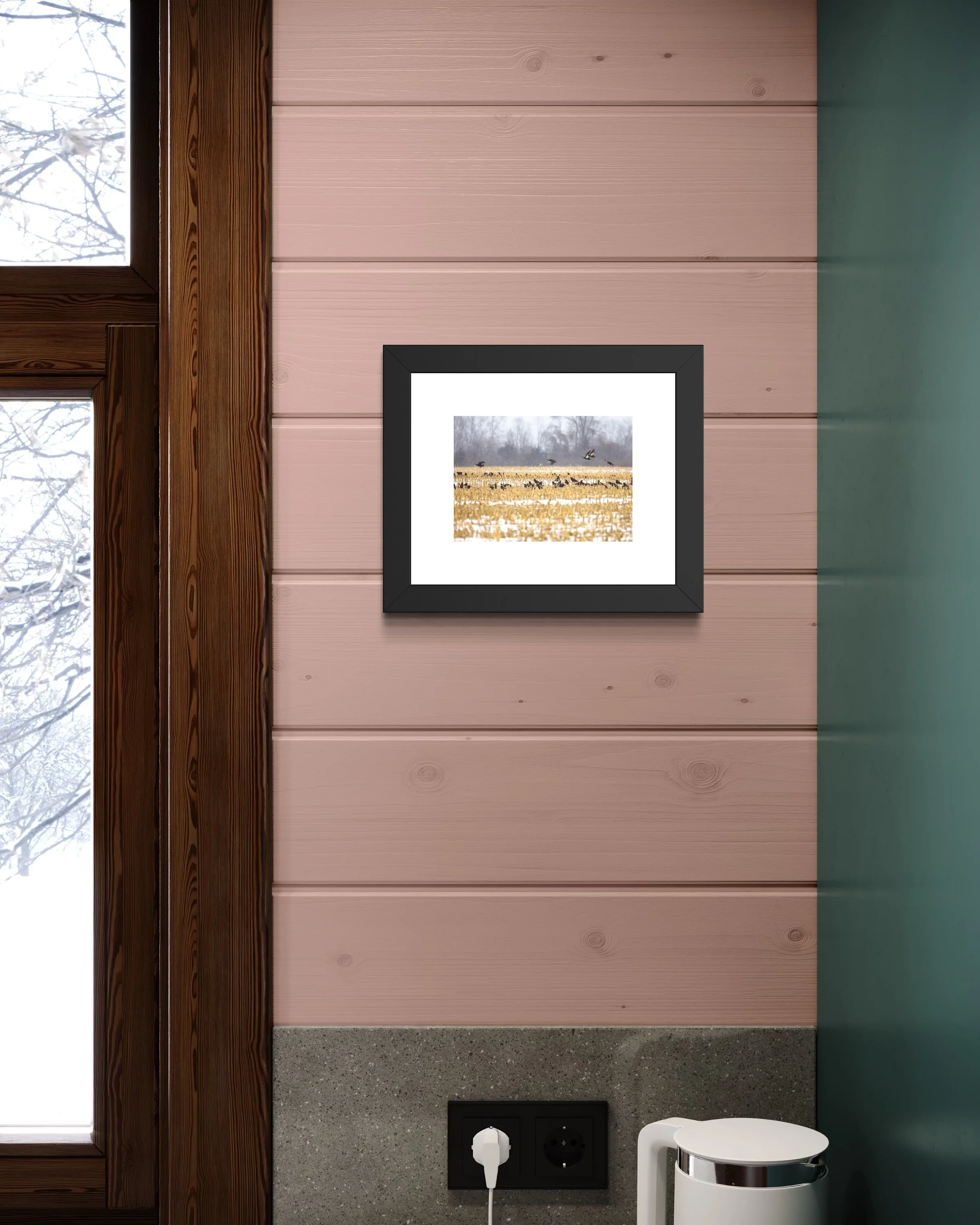 IMGE9166 8X10 1.625 FRAME.JPG