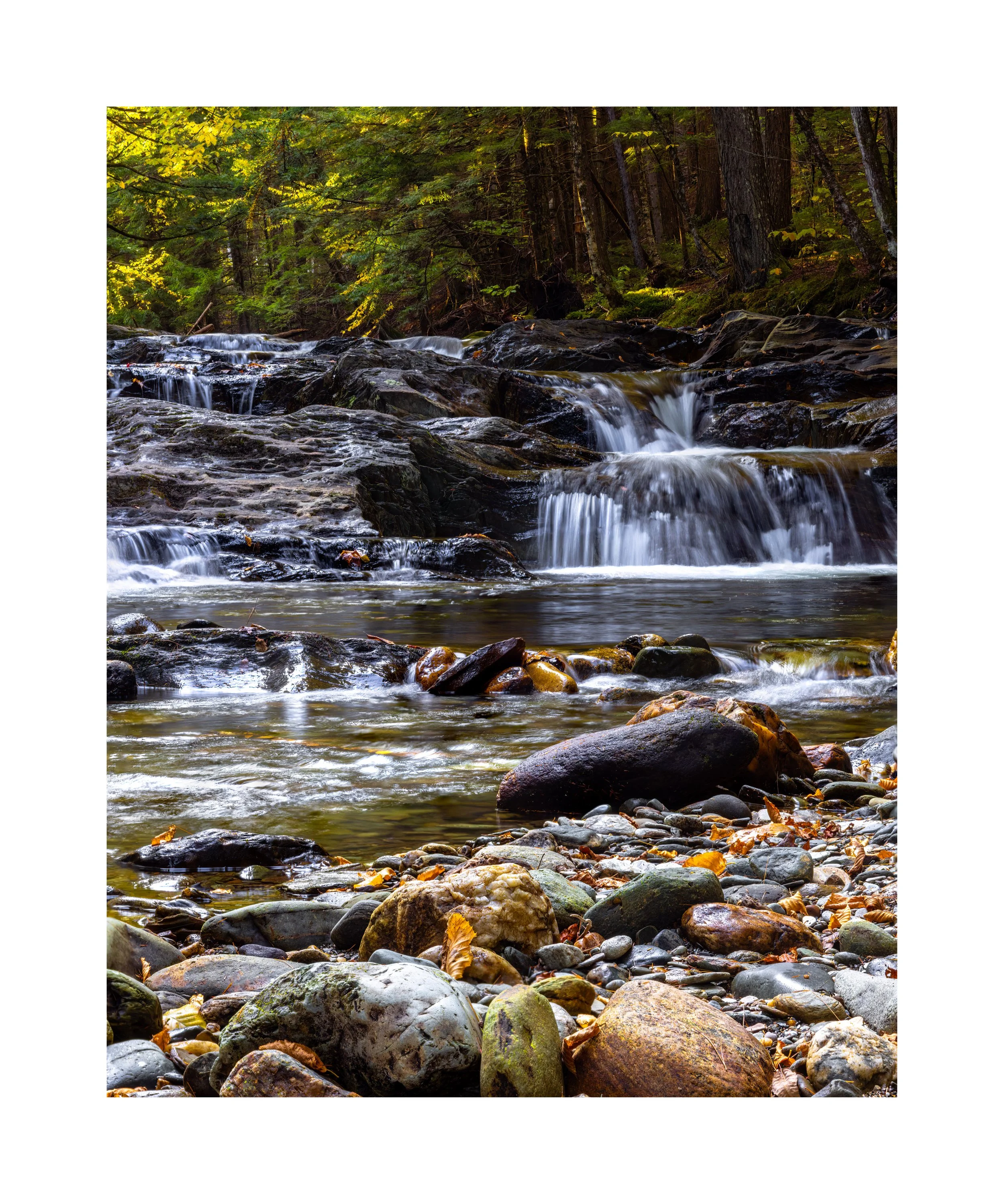 IMGA9526 24X20 2.125 CAT-L.jpg