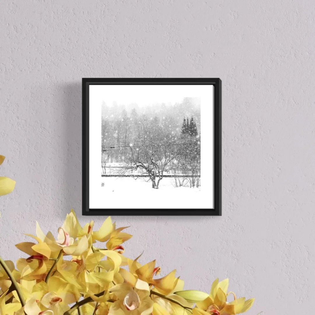 IMGF1791 5x5 0.5 FRAME.JPG