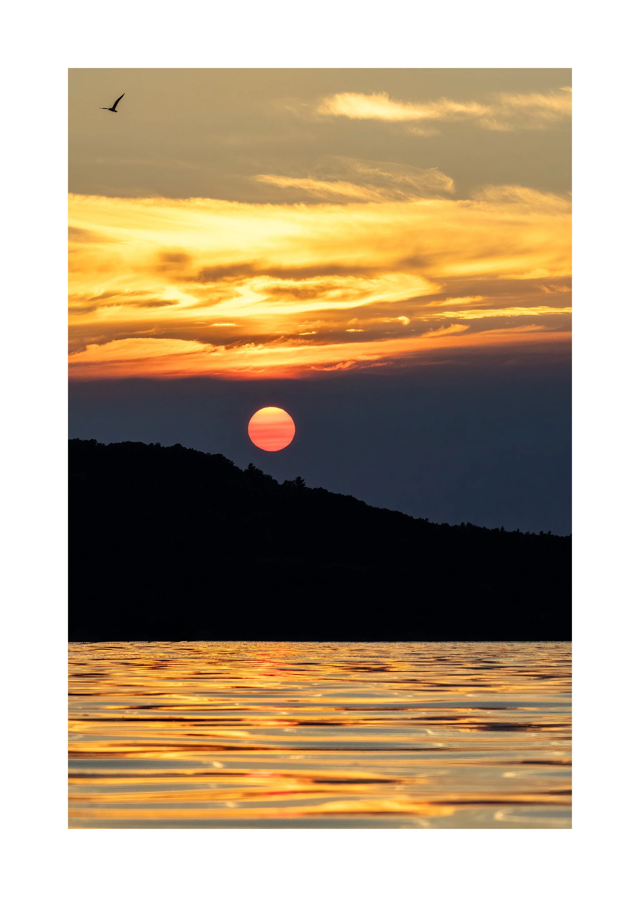 IMGC9843 28x20 2.125 CAT-L.jpg