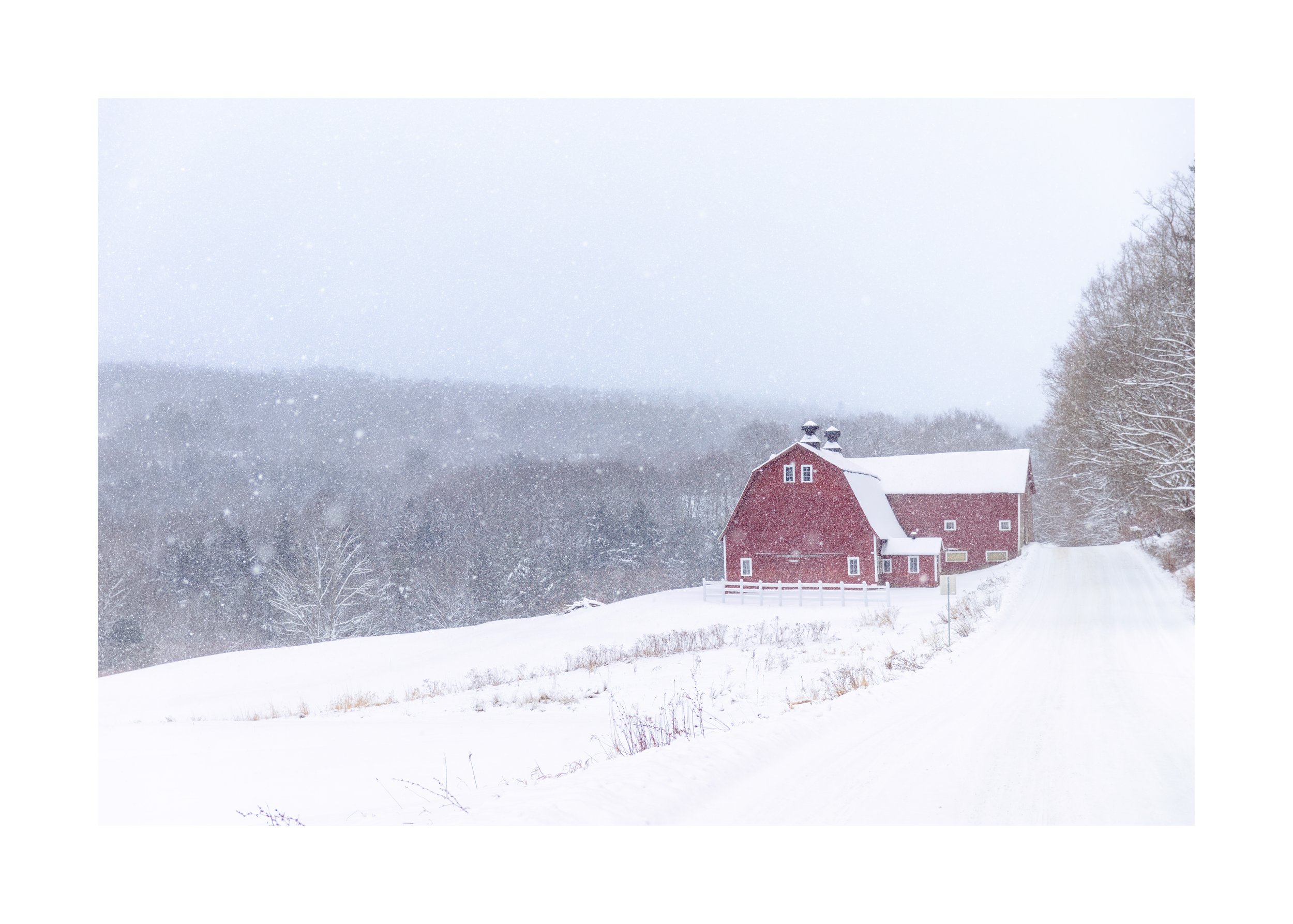 IMGG6798 20X28 2.125 CAT-L.jpg