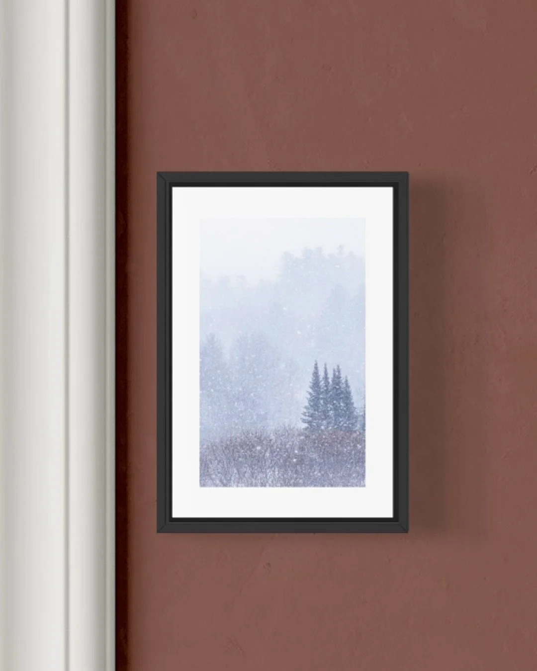 IMGA0204 E2  V A 4X6 0.5 0.56 FRAME.JPG