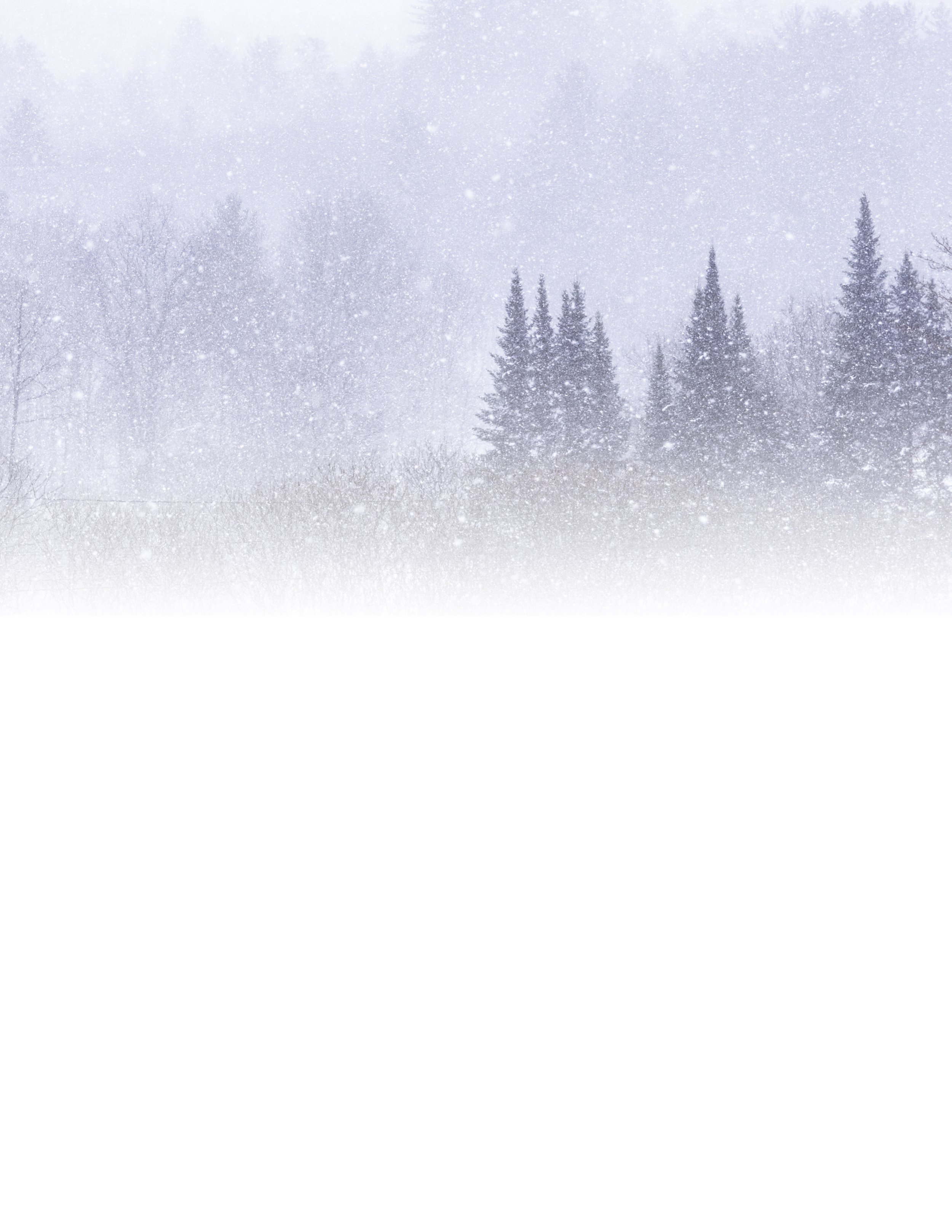 IMGA0204 E2 NOTEPAD FADE 8.5x11 CAT.jpg