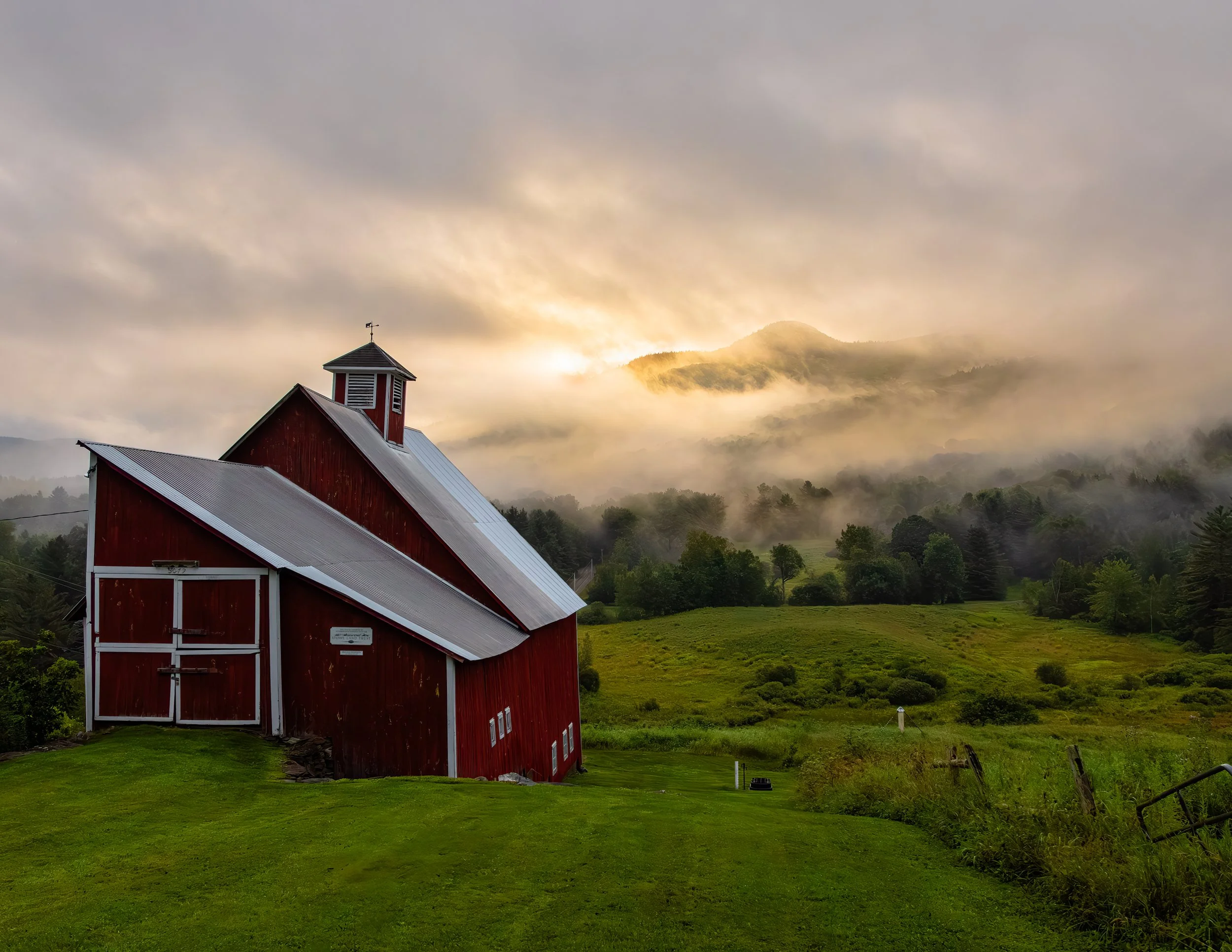 IMGC2748 POSTCARD 8.5x11 CAT.jpg