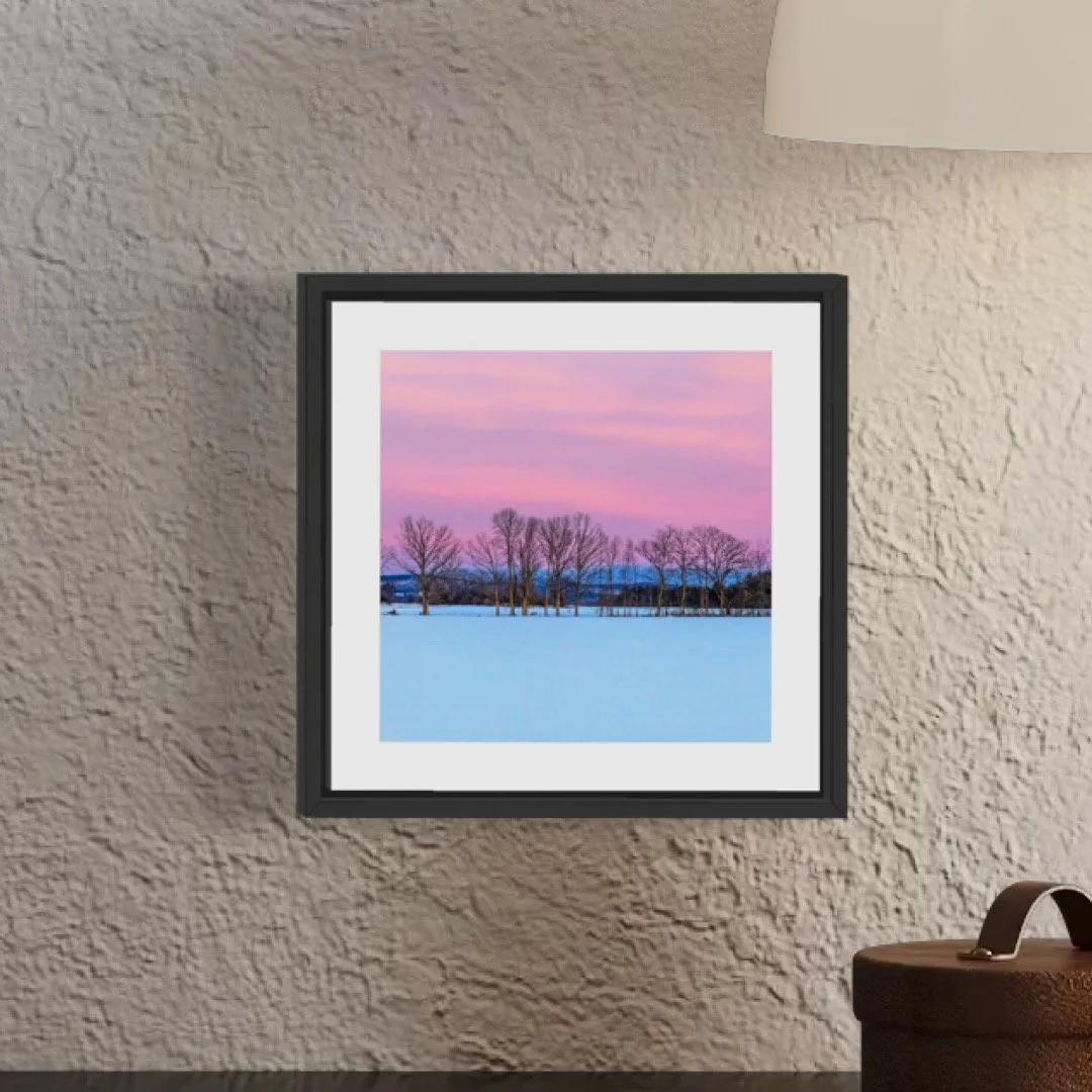 IMGA5300 5x5 0.5 FRAME.JPG