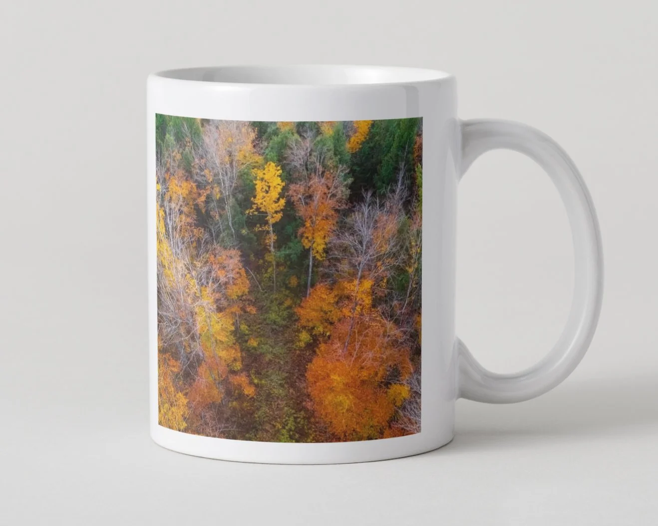 DJI241021_13 5x5 MUG IMAGE 1-12.jpg