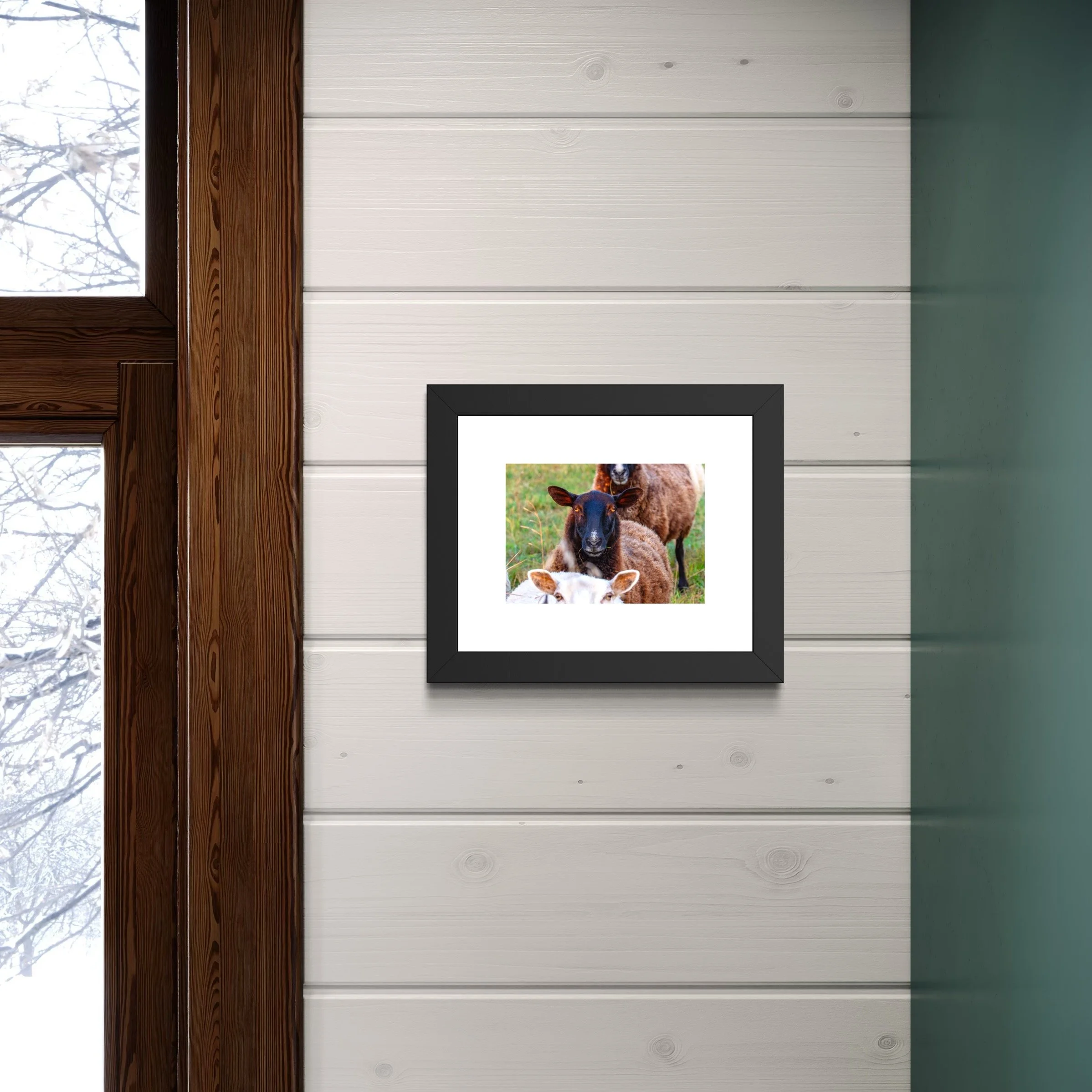 IMGG2205 8x10 1.625 FRAME.JPG