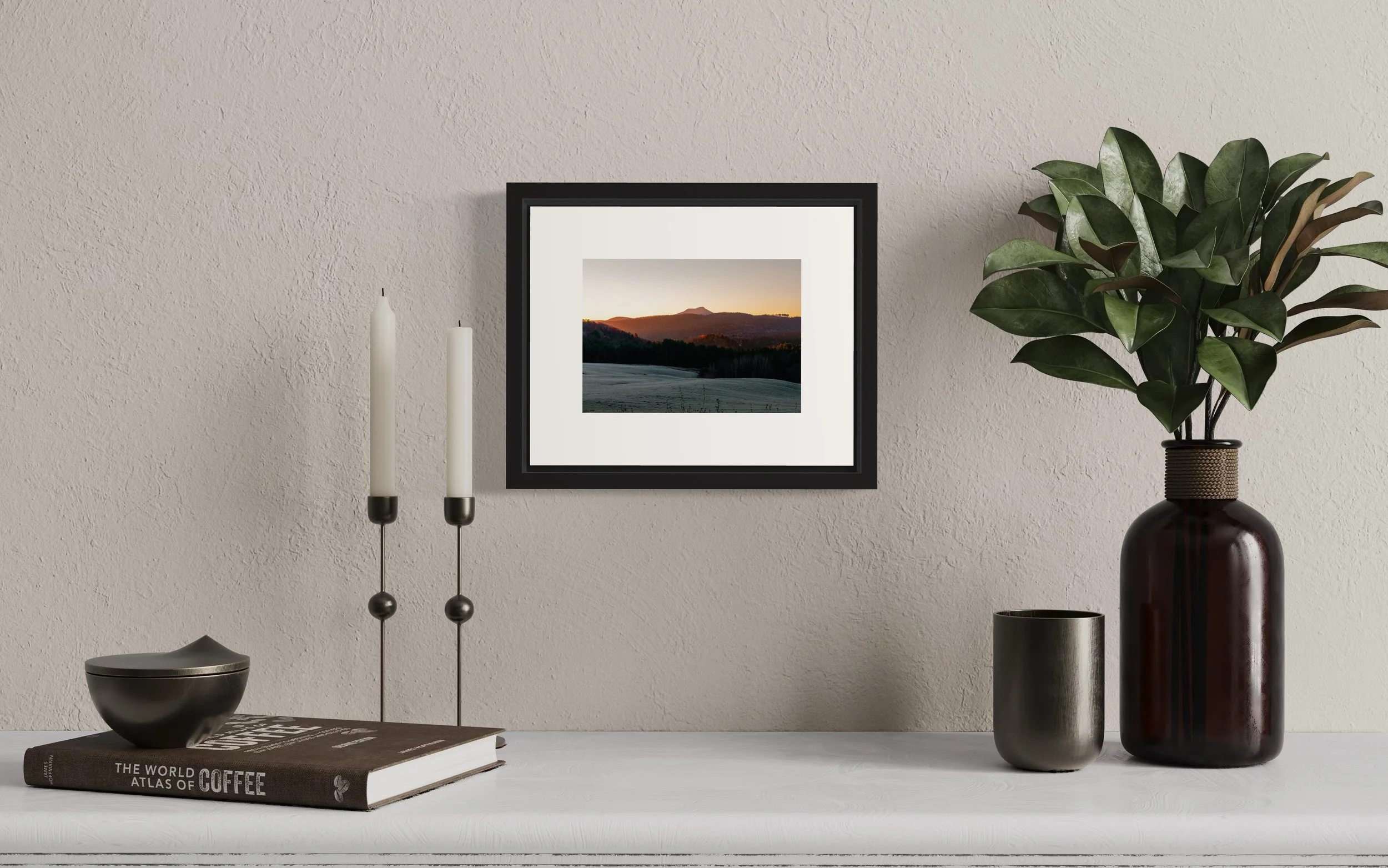 IMG_1285 8x10 1.625 FRAME.JPG