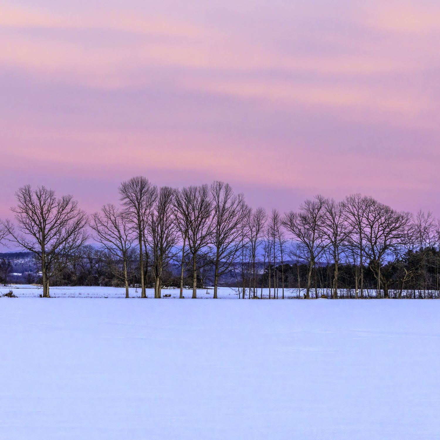 IMGA5300 5x5 MUG CAT.jpg