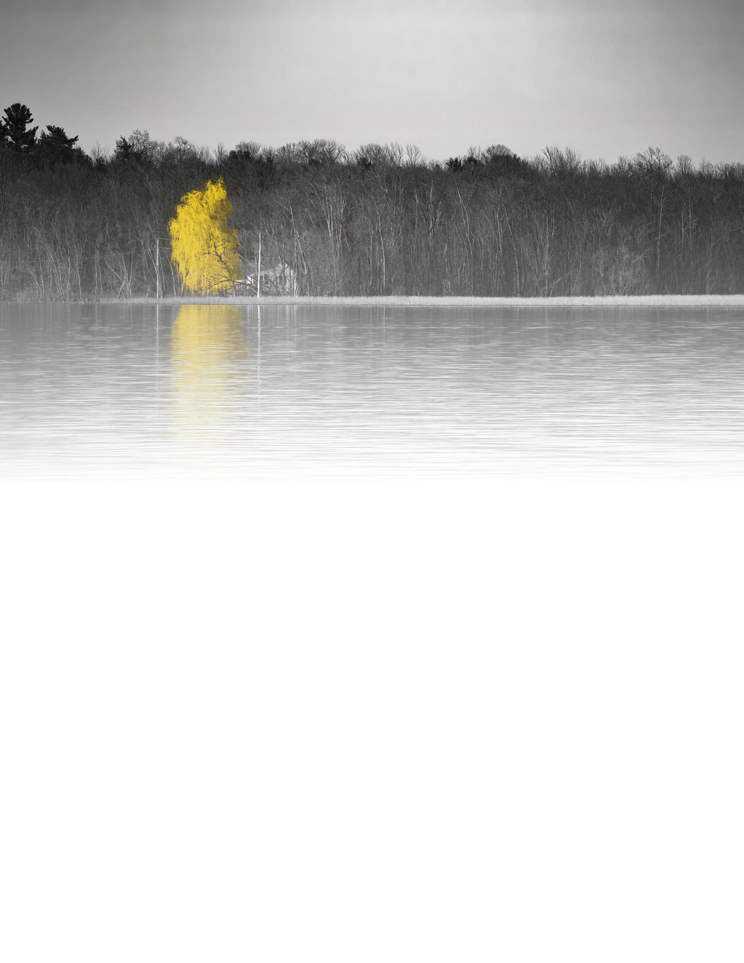 IMG_4426 NOTEPAD FADE 8.5x11 CAT.jpg