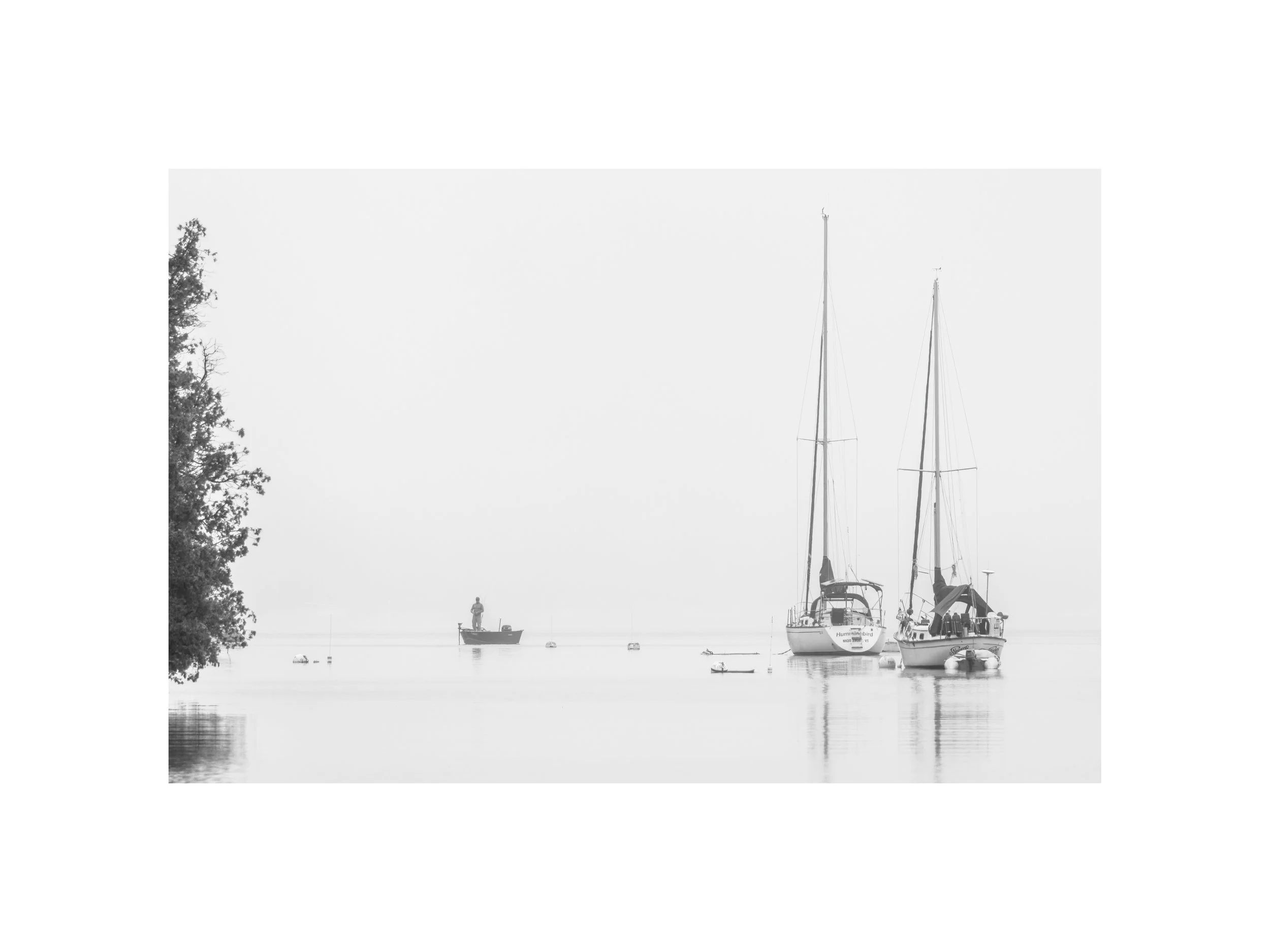 IMGA9480 BW 12x16 2.125 CAT.jpg