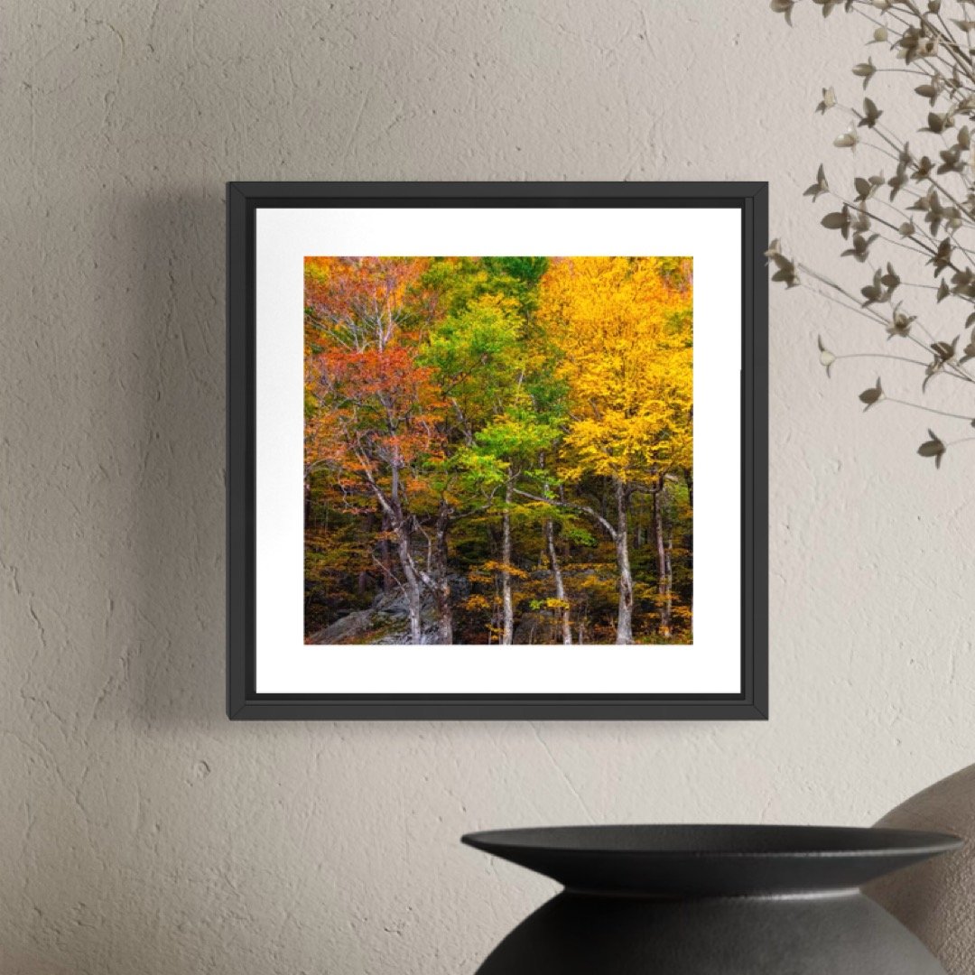 IMGG3042 5x5 0.5 FRAME.JPG (Copy)