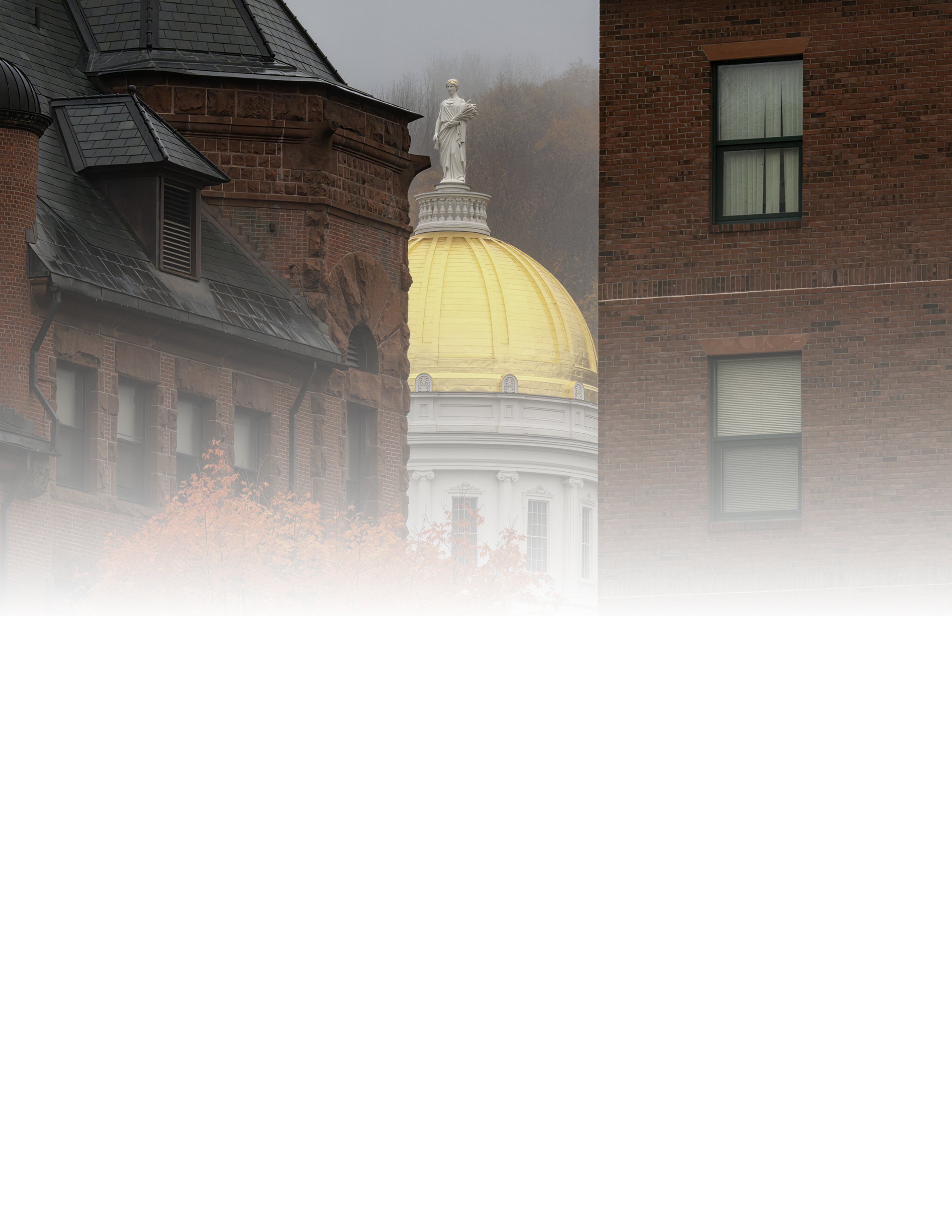 IMG_9637 NOTEPAD FADE 8.5x11 CAT.jpg