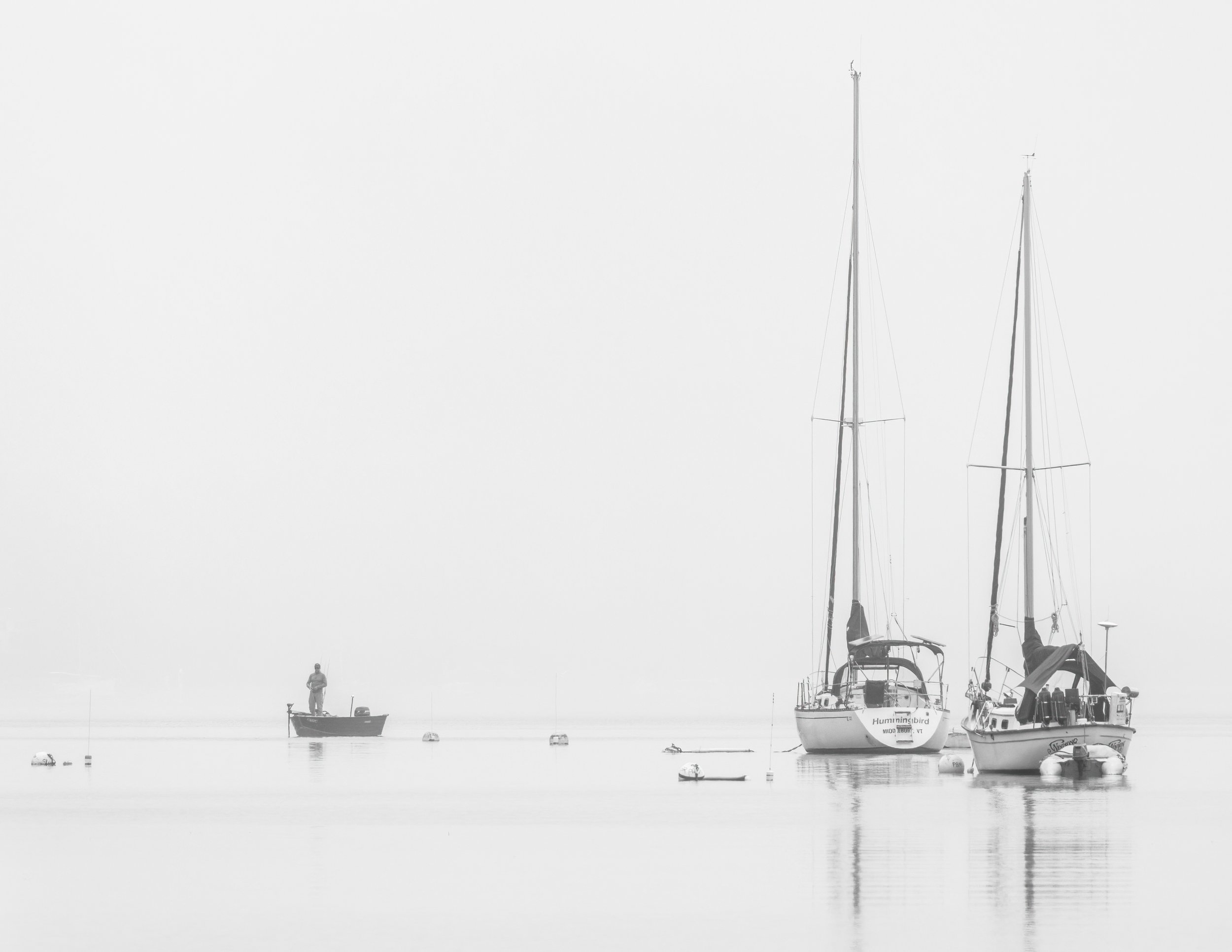 IMGA9480 POSTCARD 8.5x11 CAT.jpg