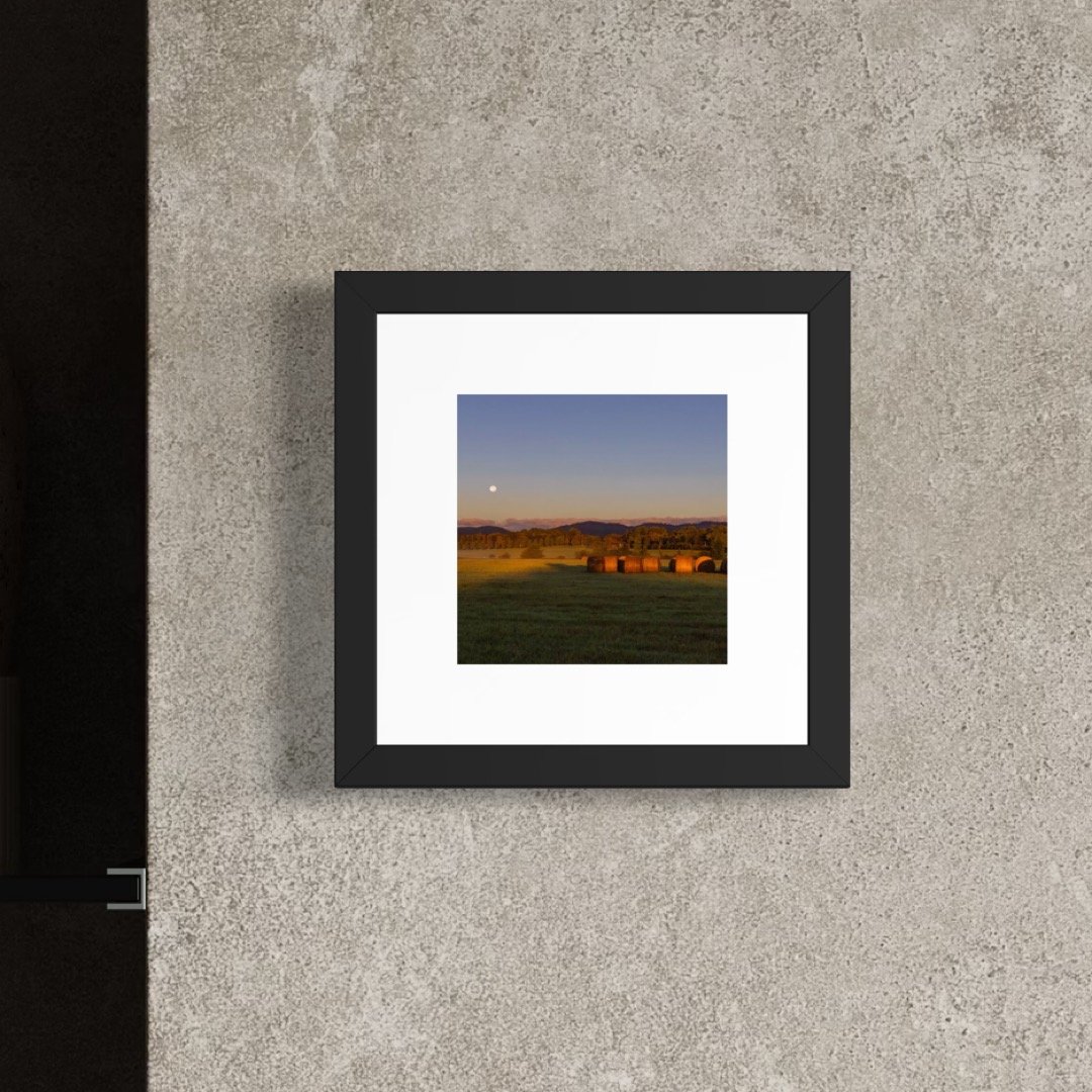 IMGF9017 6x6 1.125 FRAME.JPG