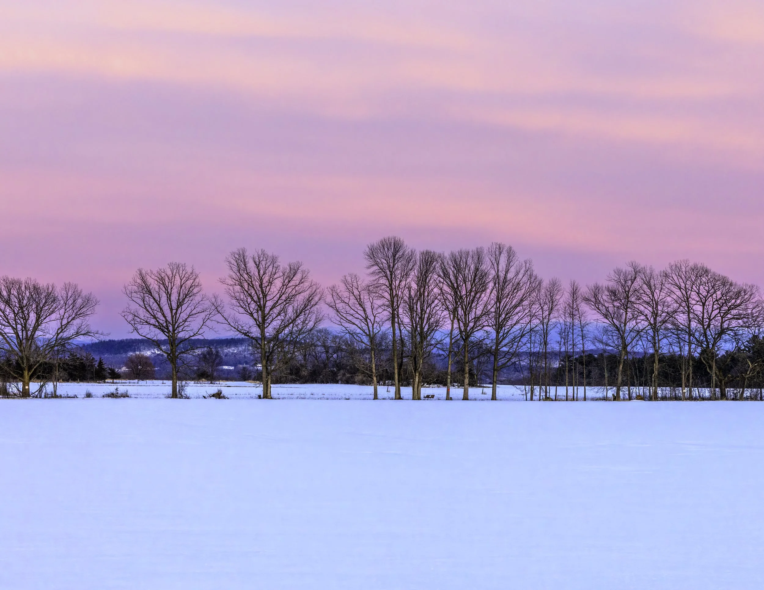 IMGA5300 POSTCARD 8.5x11 CAT.jpg