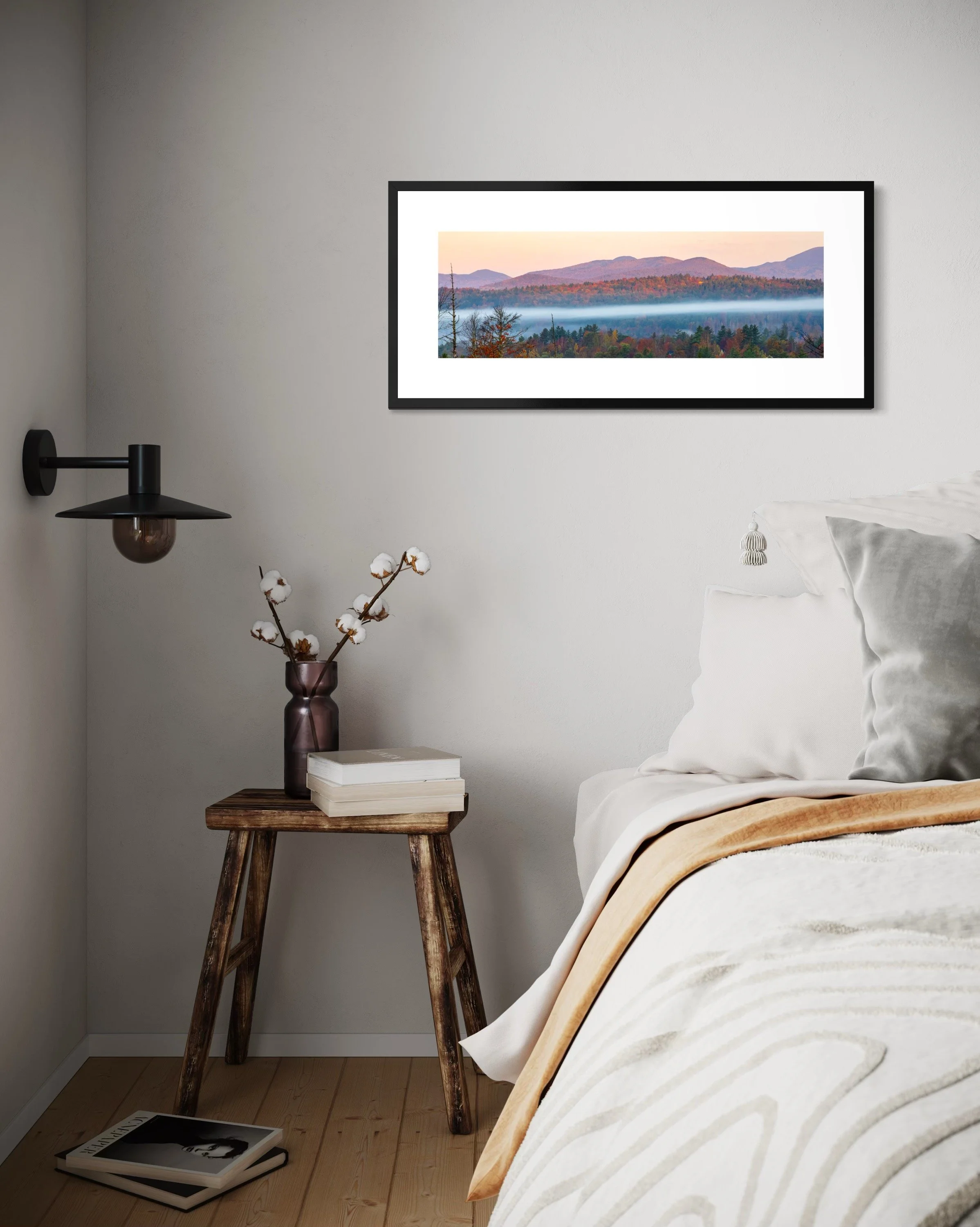 IMGG2951 16X36 3.125 FRAME.JPG