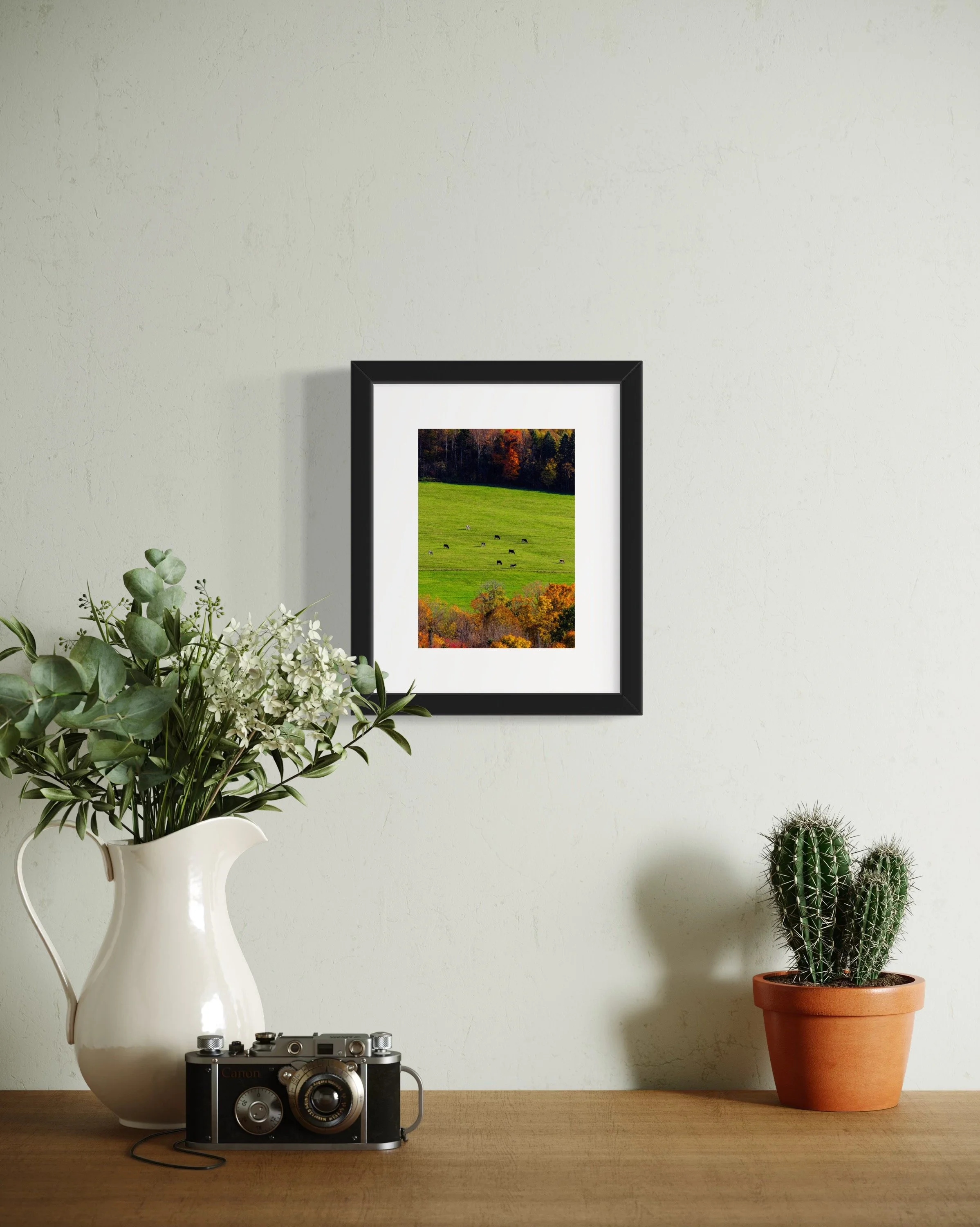 IMGC9667 10x8 1.625 FRAME.JPG