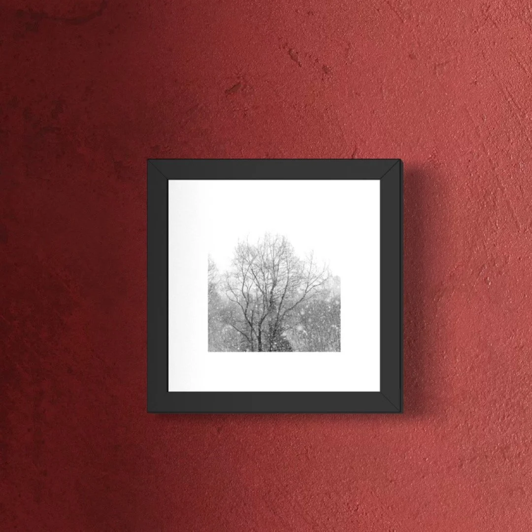 IMGF1797 6x6 1.125 FRAME.JPG