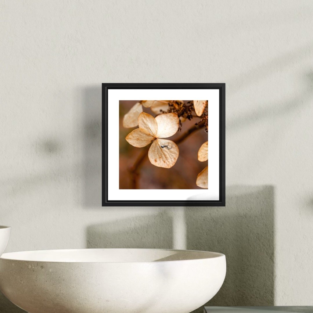 IMG_2705 5x5 0.5 FRAME.JPG