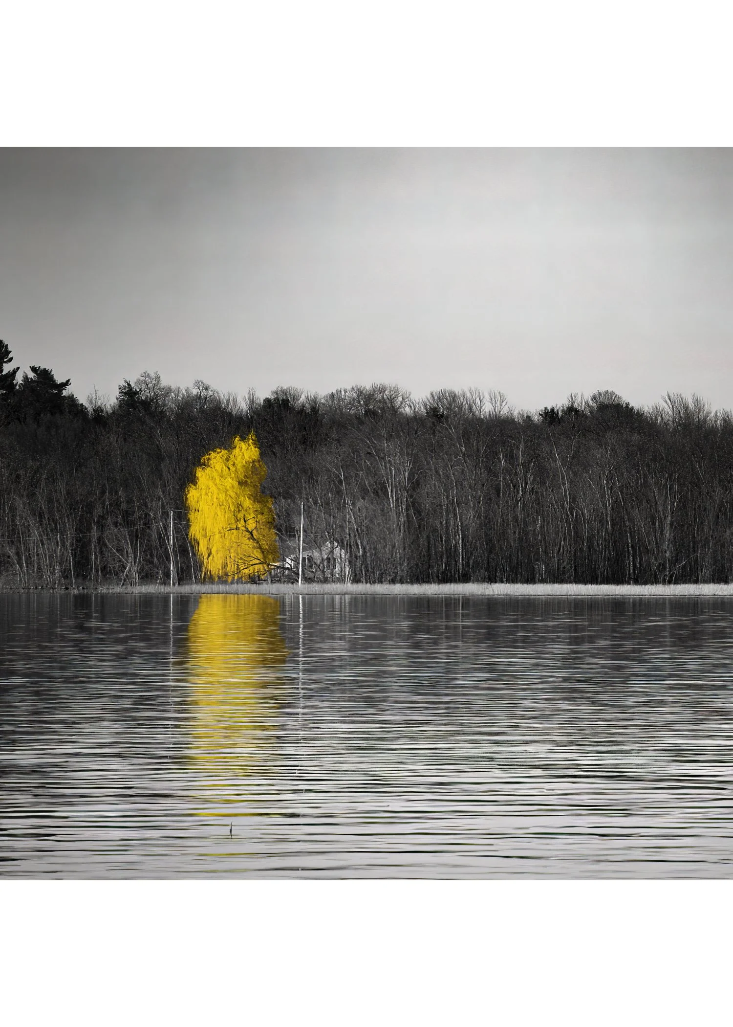 IMG_4426 NOTECARD CENTER BASE 7x5 CAT.jpg