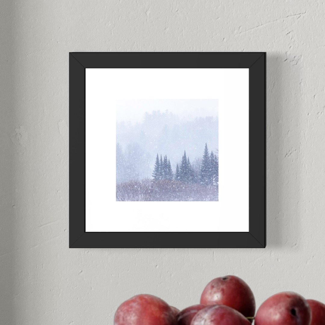 IMGA0204 E2 6x6 1.125 FRAME.JPG