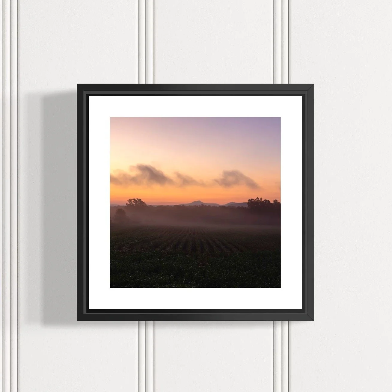 IMGB2831 A 5x5 0.5 FRAME.JPG