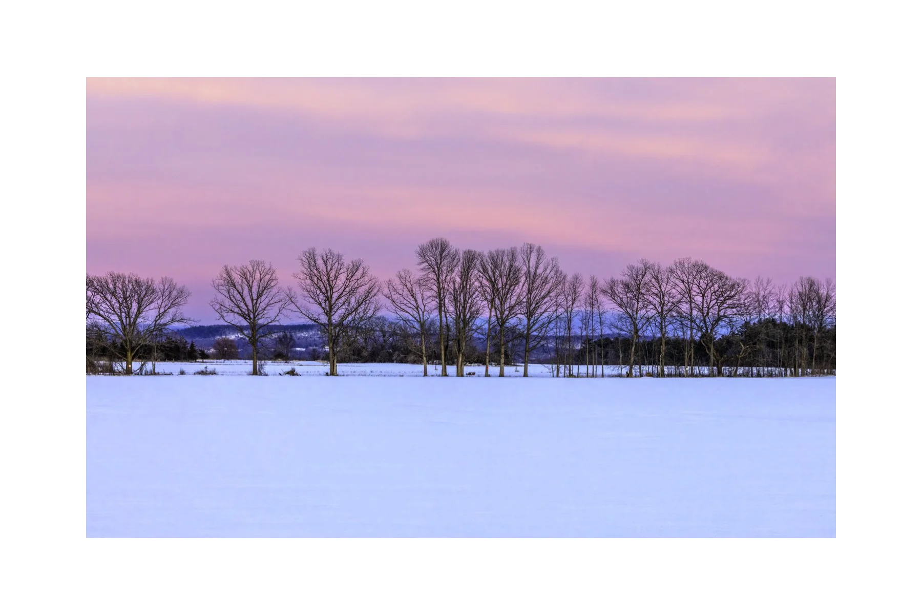 IMGA5300 4X6 0.5 0.56 CAT.jpg