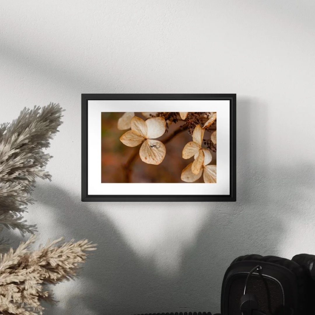 IMG_2705 4X6 0.5 0.56 FRAME.JPG